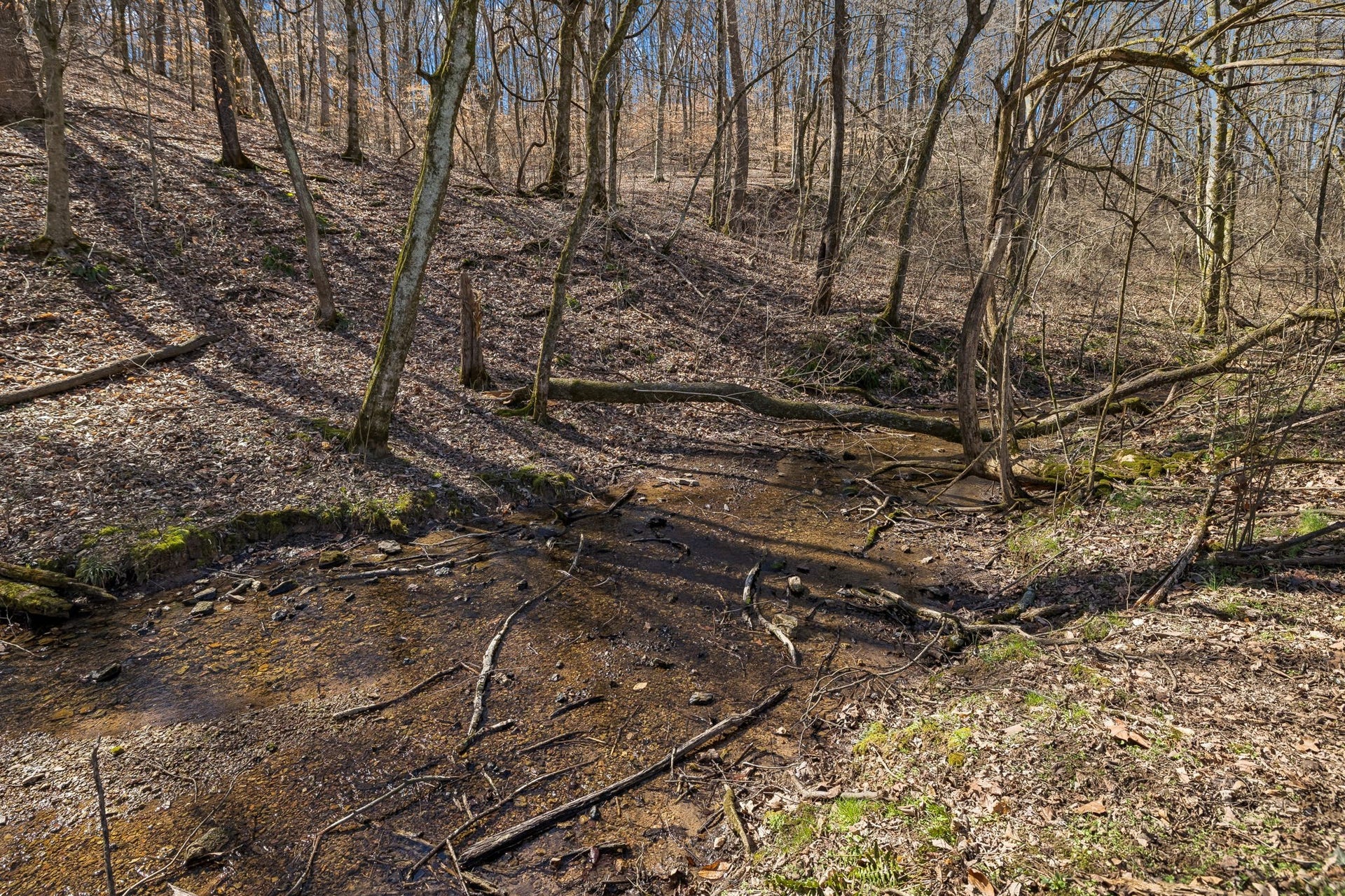 4 Enterprise Rd, Mount Pleasant, TN 38474 4 Enterprise Rd, Mount Pleasant, TN 38474