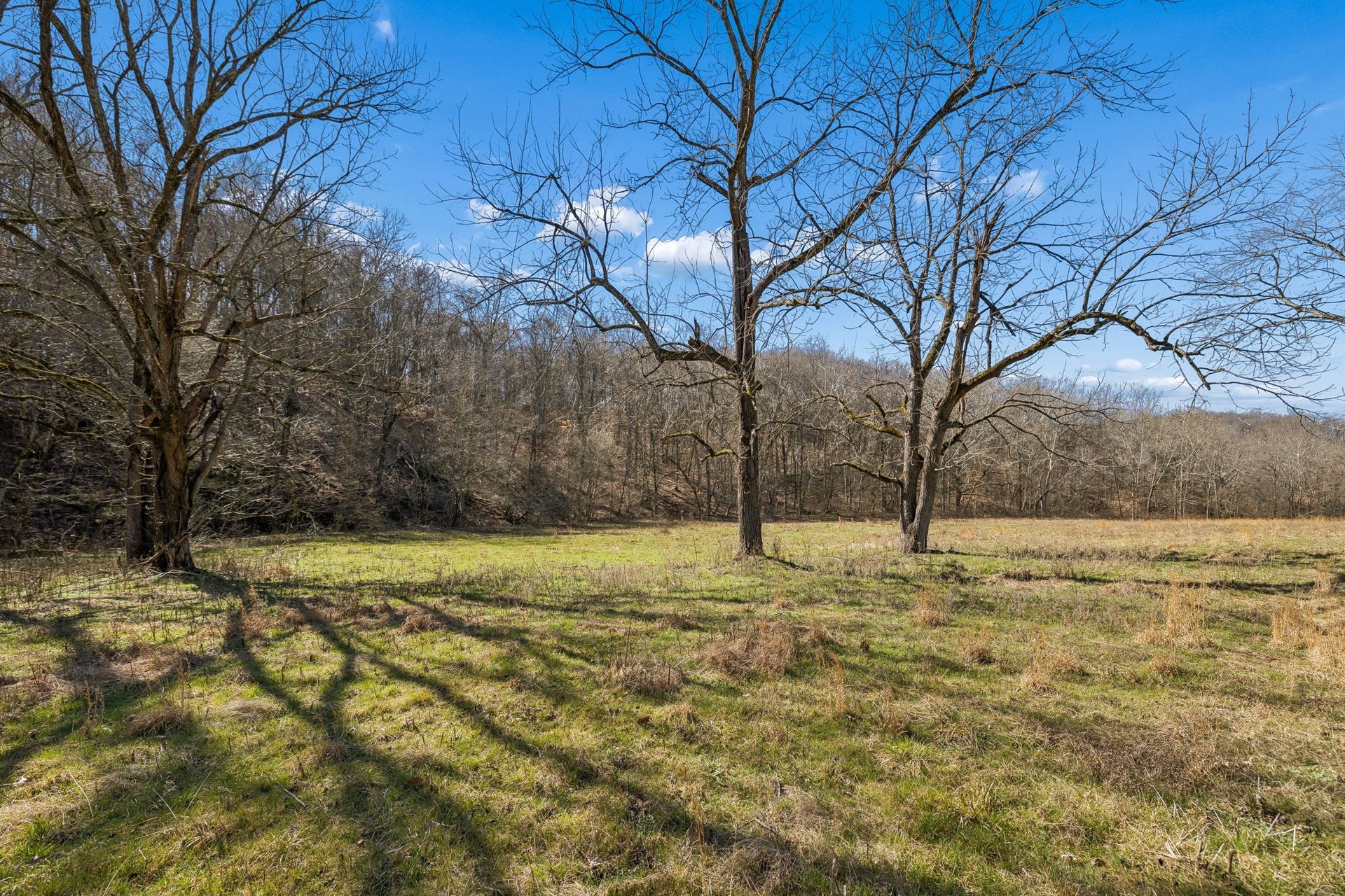4 Enterprise Rd, Mount Pleasant, TN 38474 4 Enterprise Rd, Mount Pleasant, TN 38474