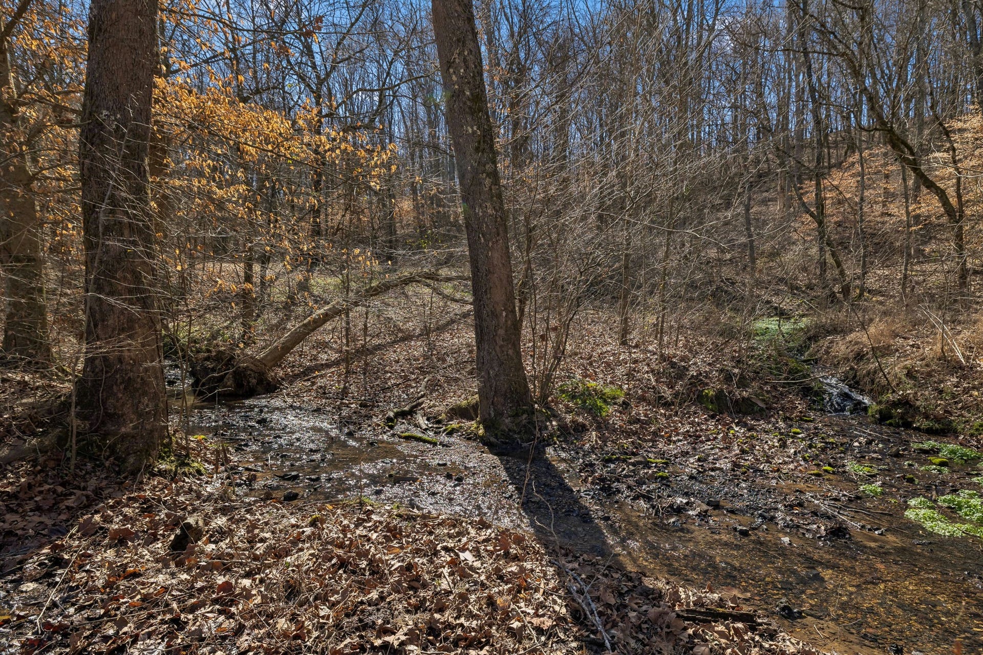 4 Enterprise Rd, Mount Pleasant, TN 38474 4 Enterprise Rd, Mount Pleasant, TN 38474