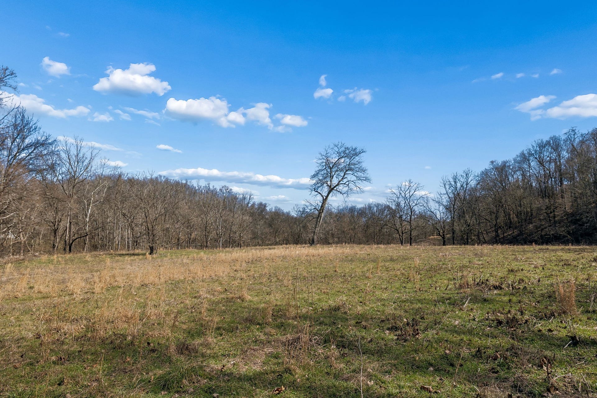 4 Enterprise Rd, Mount Pleasant, TN 38474 4 Enterprise Rd, Mount Pleasant, TN 38474