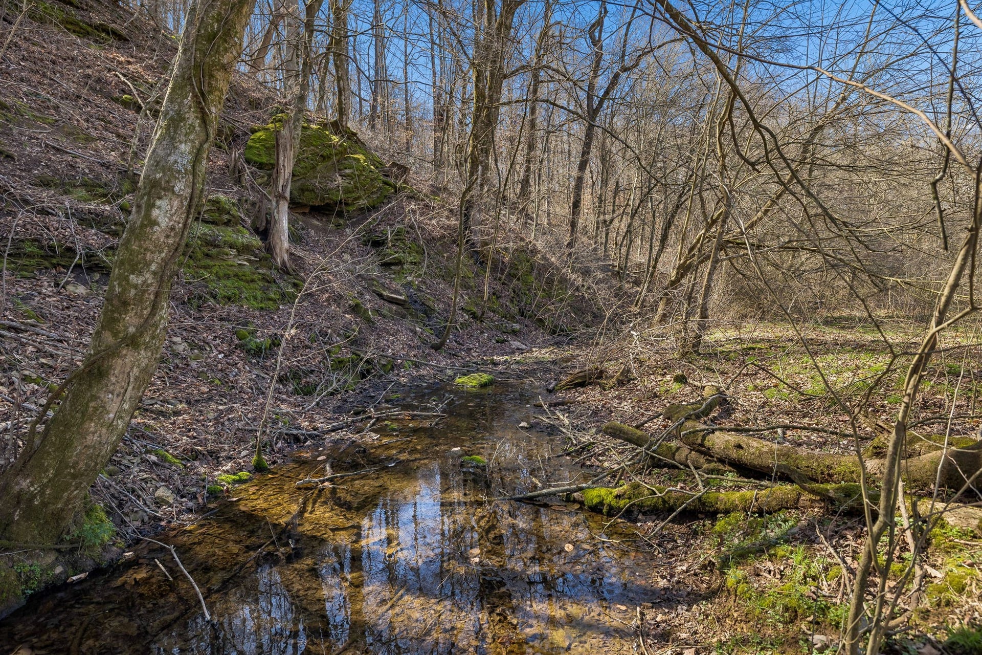4 Enterprise Rd, Mount Pleasant, TN 38474 4 Enterprise Rd, Mount Pleasant, TN 38474