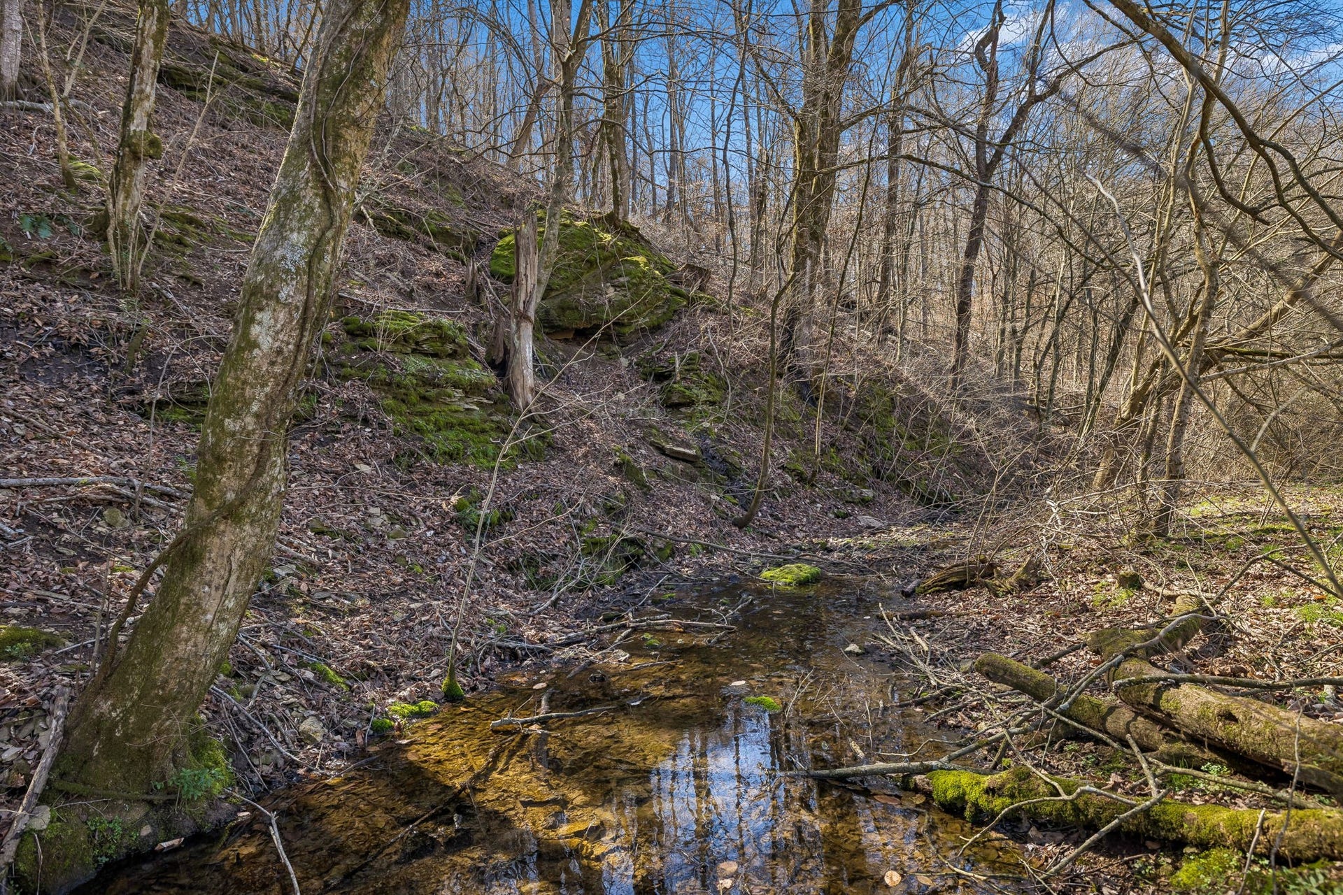 4 Enterprise Rd, Mount Pleasant, TN 38474 4 Enterprise Rd, Mount Pleasant, TN 38474