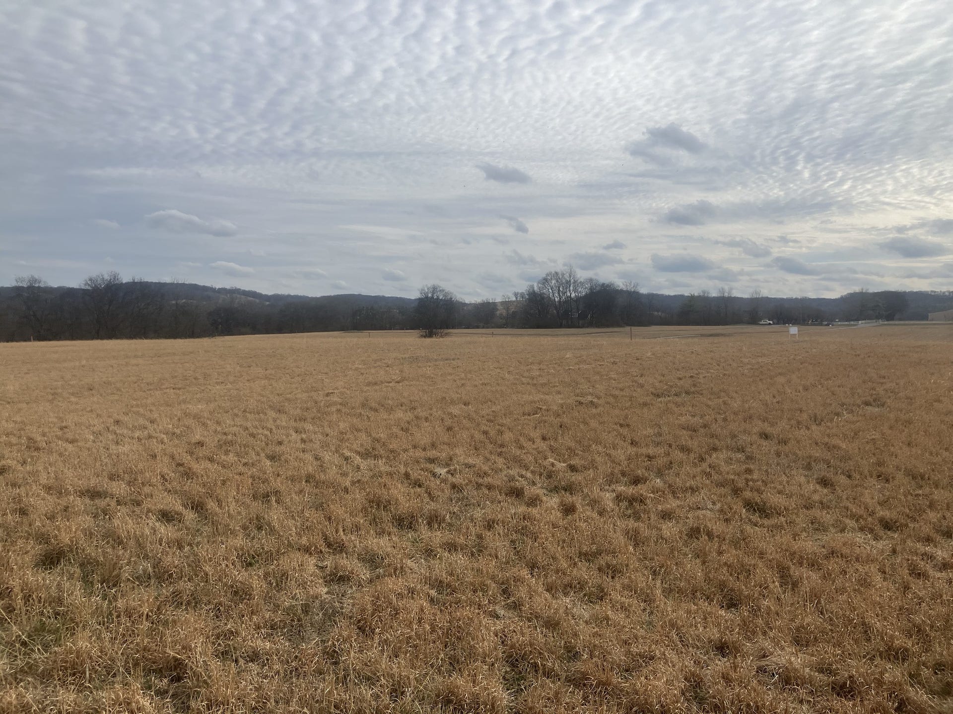 7 Southport RD, Mount Pleasant, TN 38474 7 Southport RD, Mount Pleasant, TN 38474