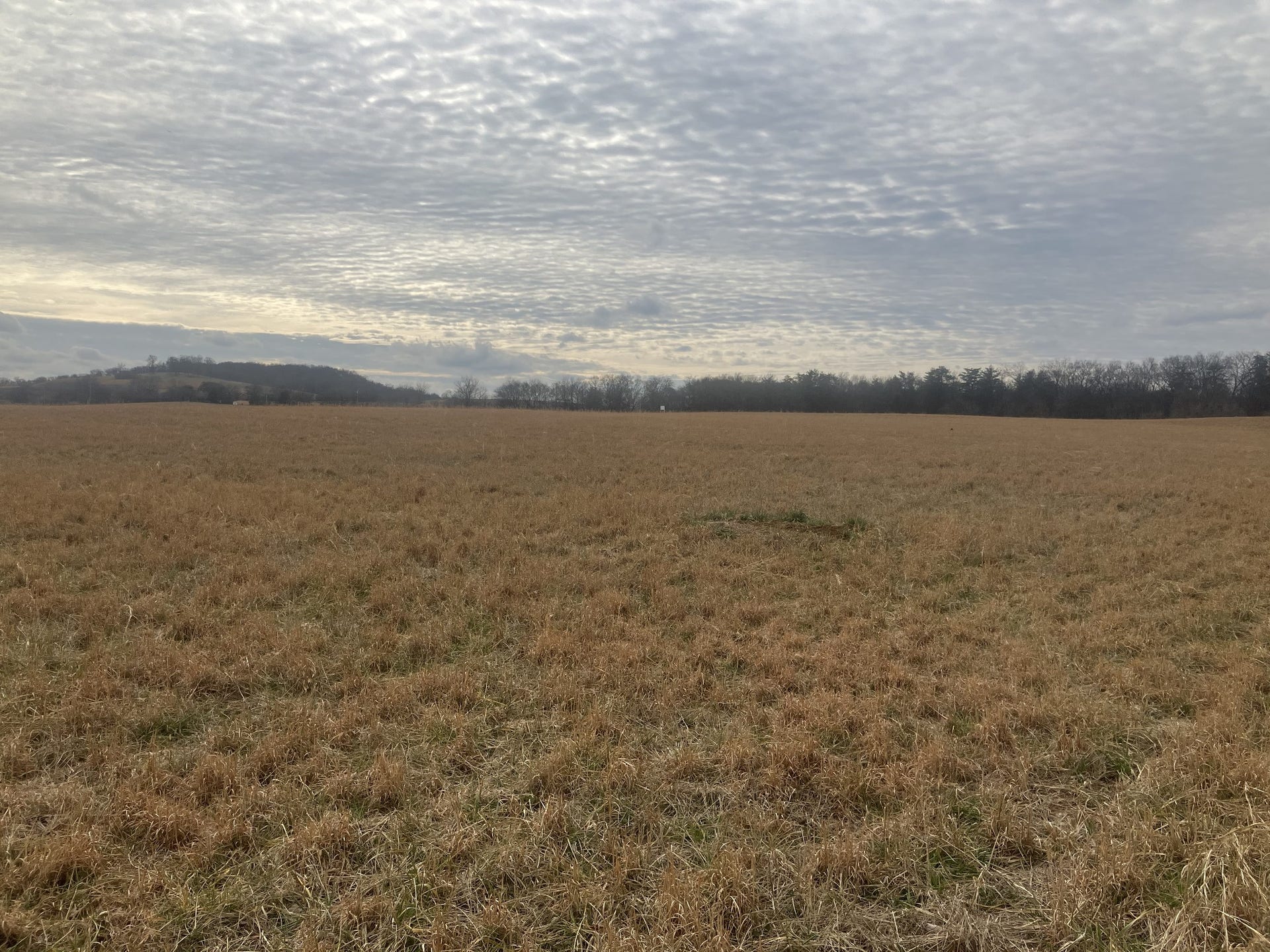 7 Southport RD, Mount Pleasant, TN 38474 7 Southport RD, Mount Pleasant, TN 38474