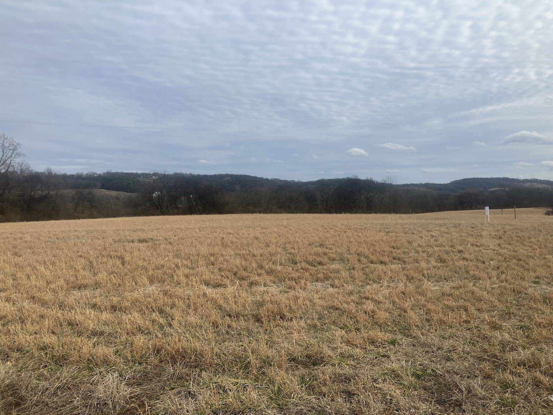 7 Southport RD, Mount Pleasant, TN 38474 7 Southport RD, Mount Pleasant, TN 38474