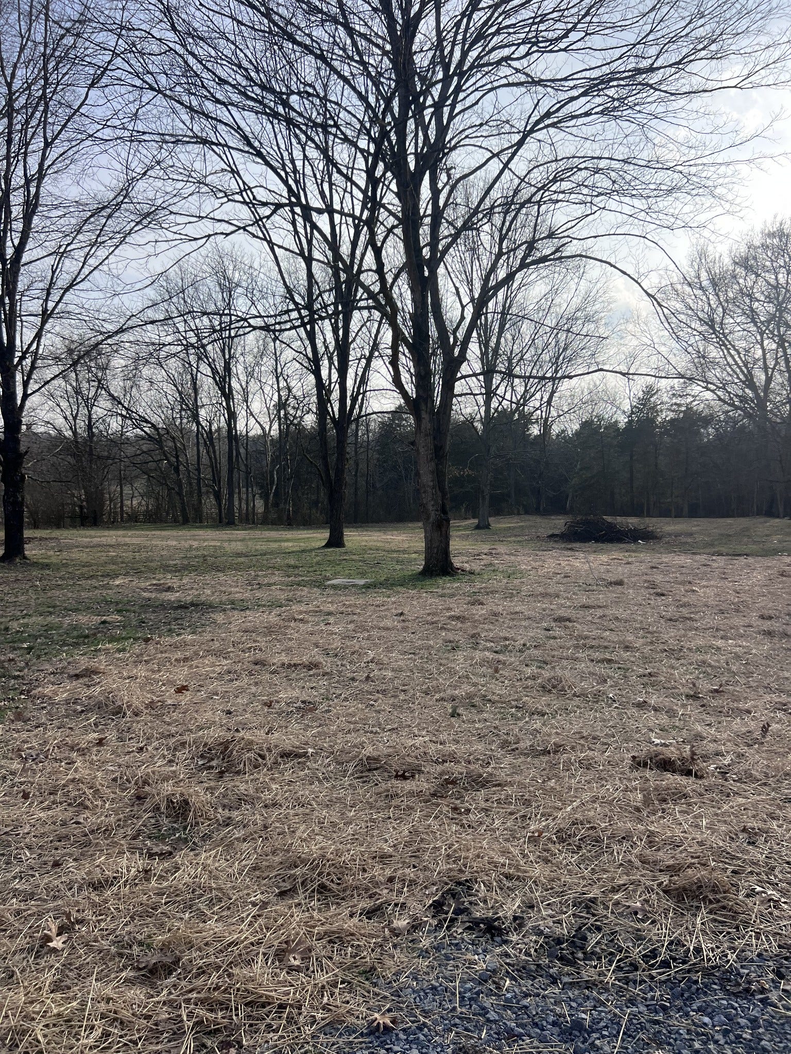 2338 Highway 82 S, Shelbyville, TN 37160 2338 Highway 82 S, Shelbyville, TN 37160