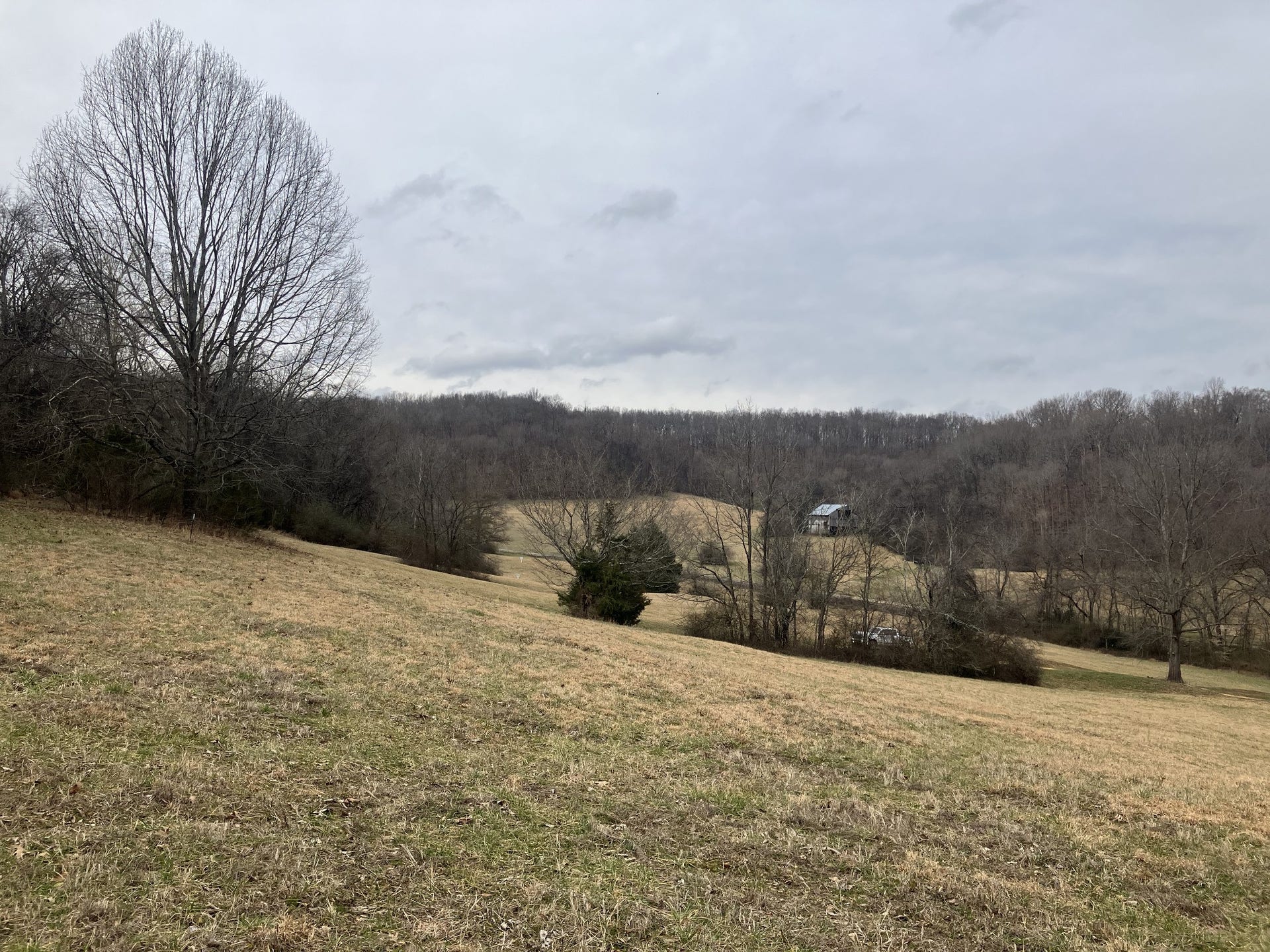 12 Booker Ridge RD, Mount Pleasant, TN 38474 12 Booker Ridge RD, Mount Pleasant, TN 38474