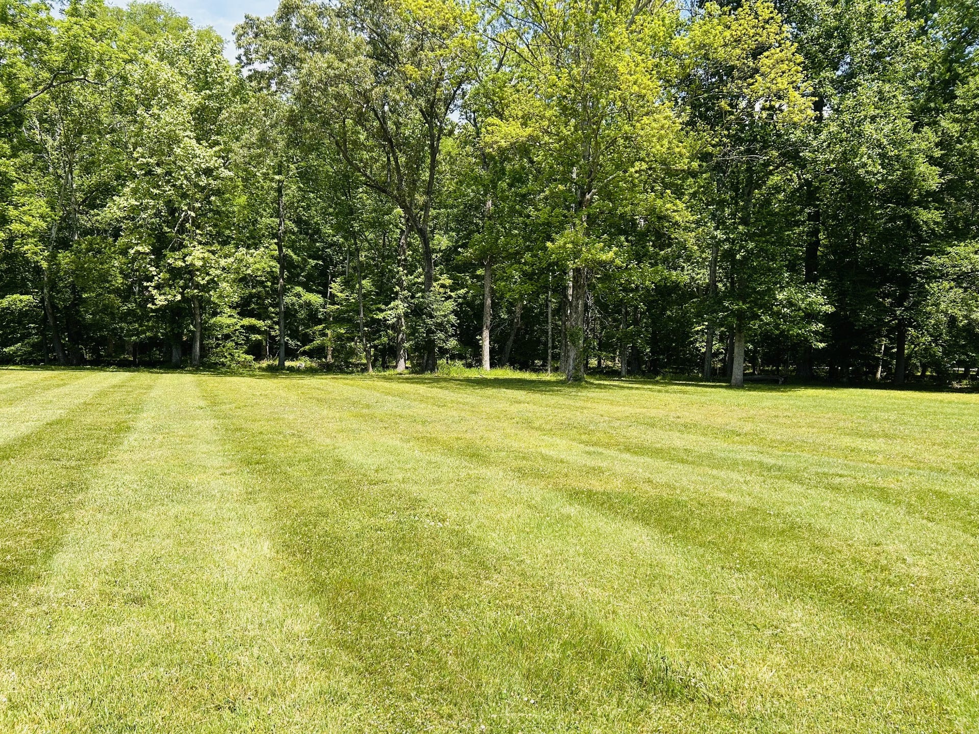 1301 Sycamore Dr, Manchester, TN 37355 1301 Sycamore Dr, Manchester, TN 37355