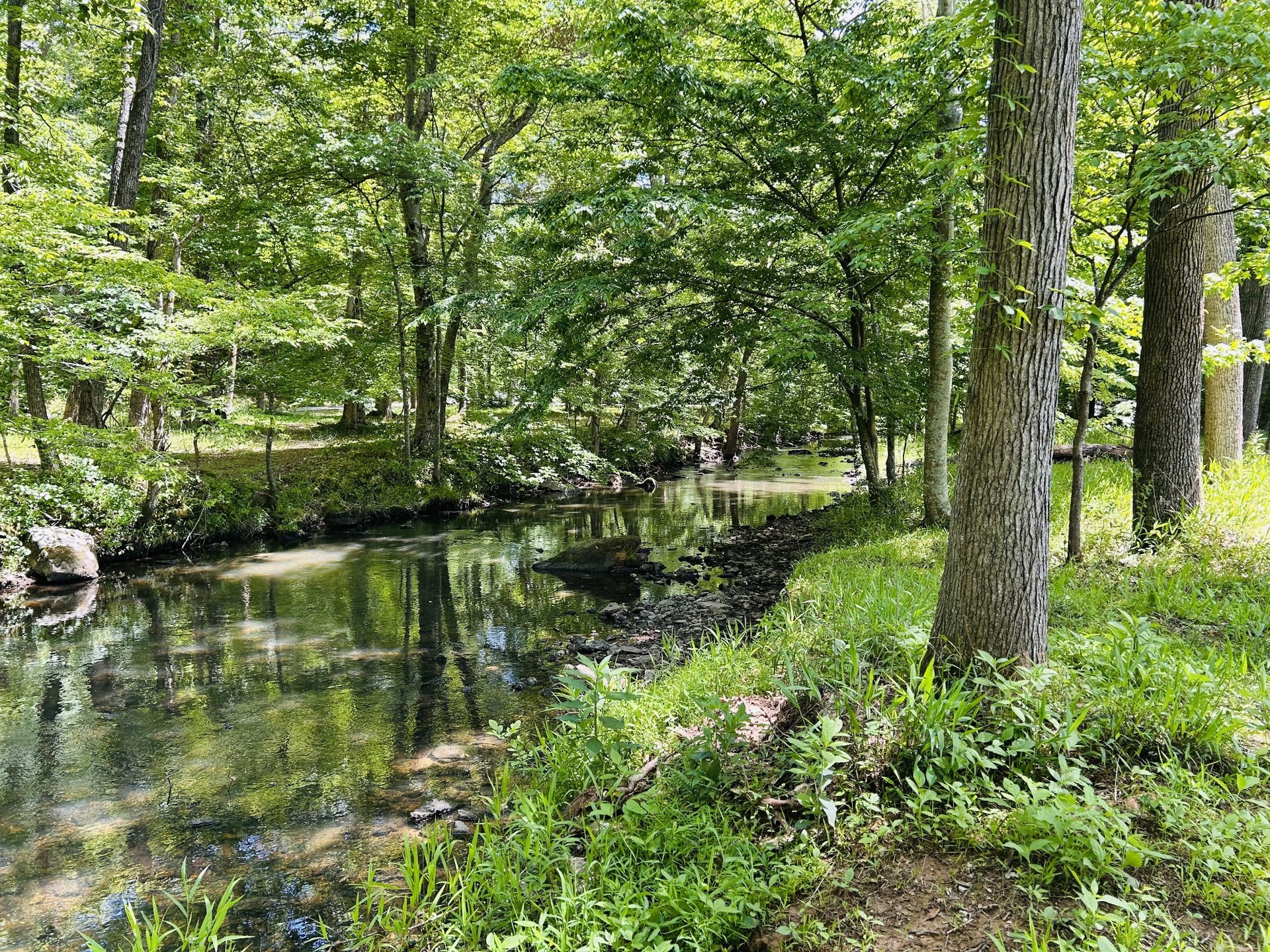 1301 Sycamore Dr, Manchester, TN 37355 1301 Sycamore Dr, Manchester, TN 37355
