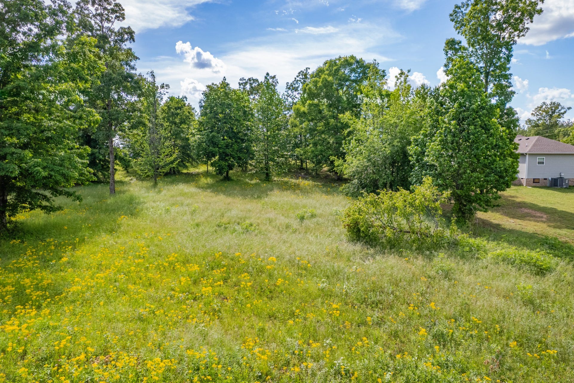 0 Wyshema Court, Mount Pleasant, TN 38474 0 Wyshema Court, Mount Pleasant, TN 38474