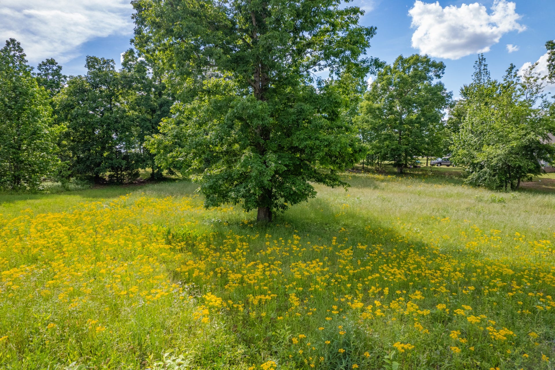 0 Wyshema Court, Mount Pleasant, TN 38474 0 Wyshema Court, Mount Pleasant, TN 38474