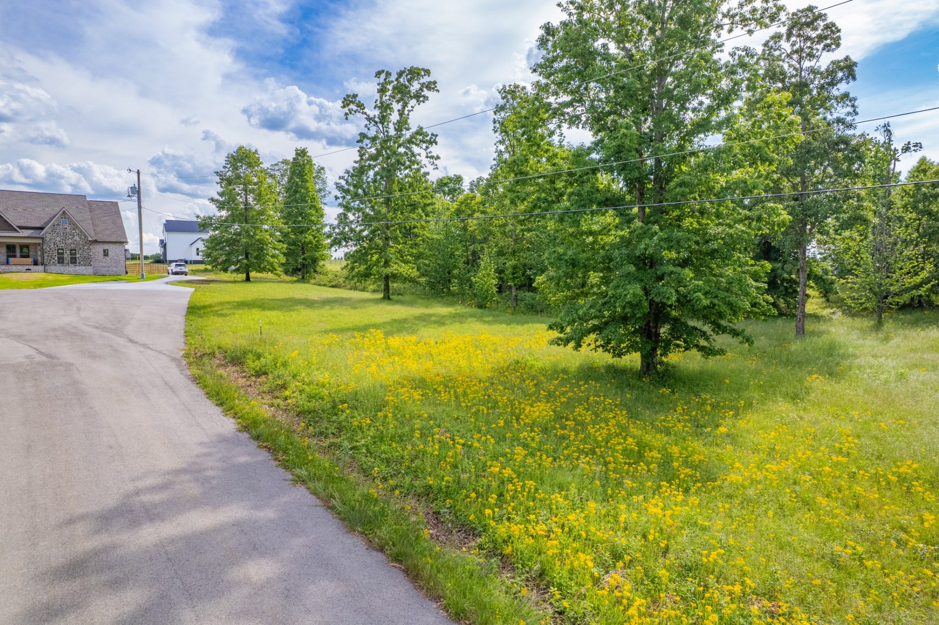 0 Wyshema Court, Mount Pleasant, TN 38474 0 Wyshema Court, Mount Pleasant, TN 38474