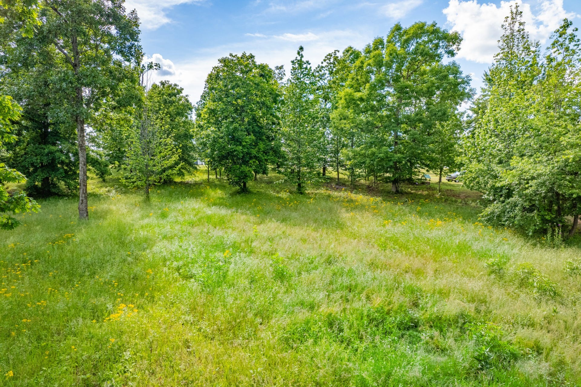 0 Wyshema Court, Mount Pleasant, TN 38474 0 Wyshema Court, Mount Pleasant, TN 38474