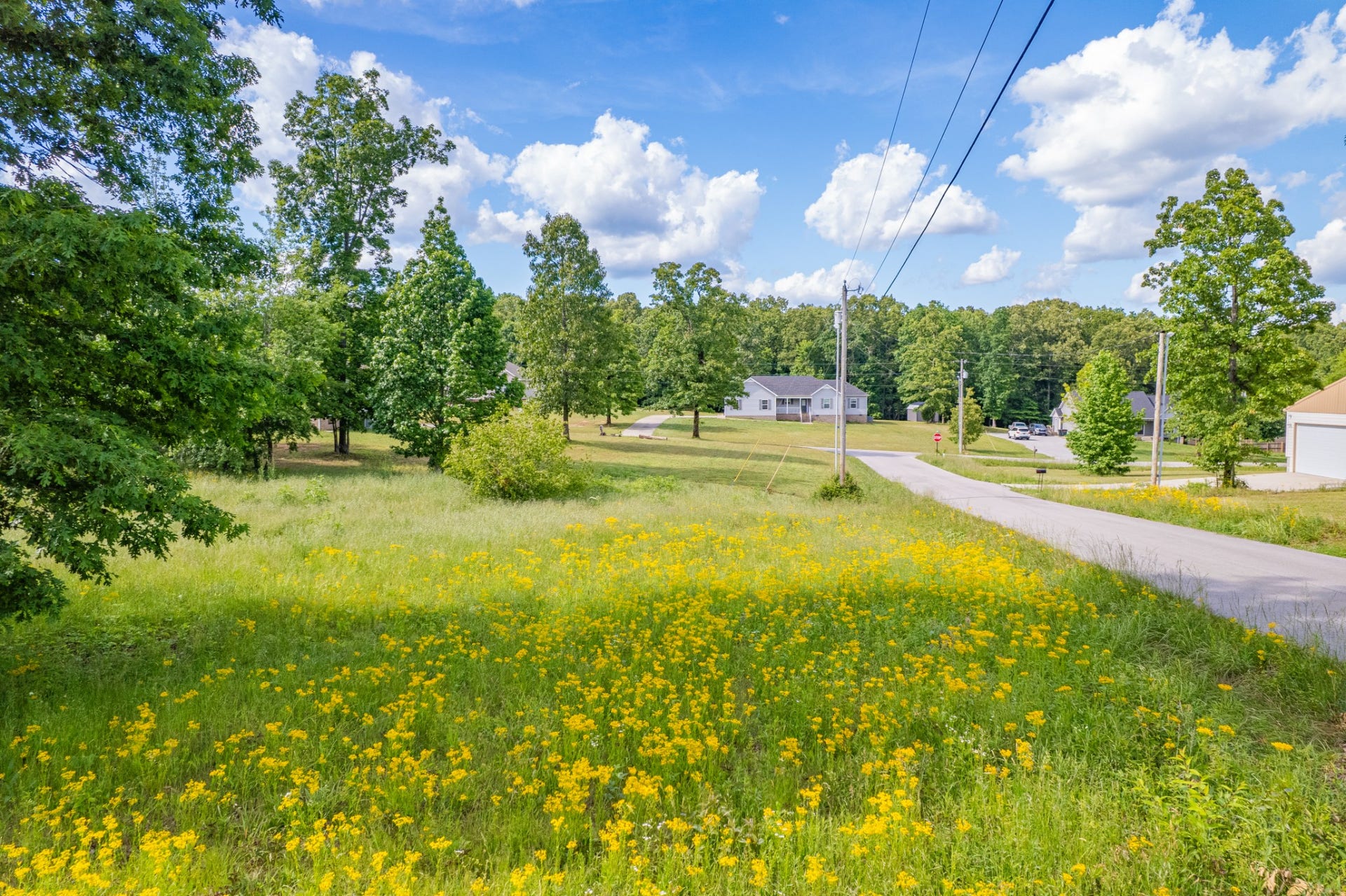 0 Wyshema Court, Mount Pleasant, TN 38474 0 Wyshema Court, Mount Pleasant, TN 38474