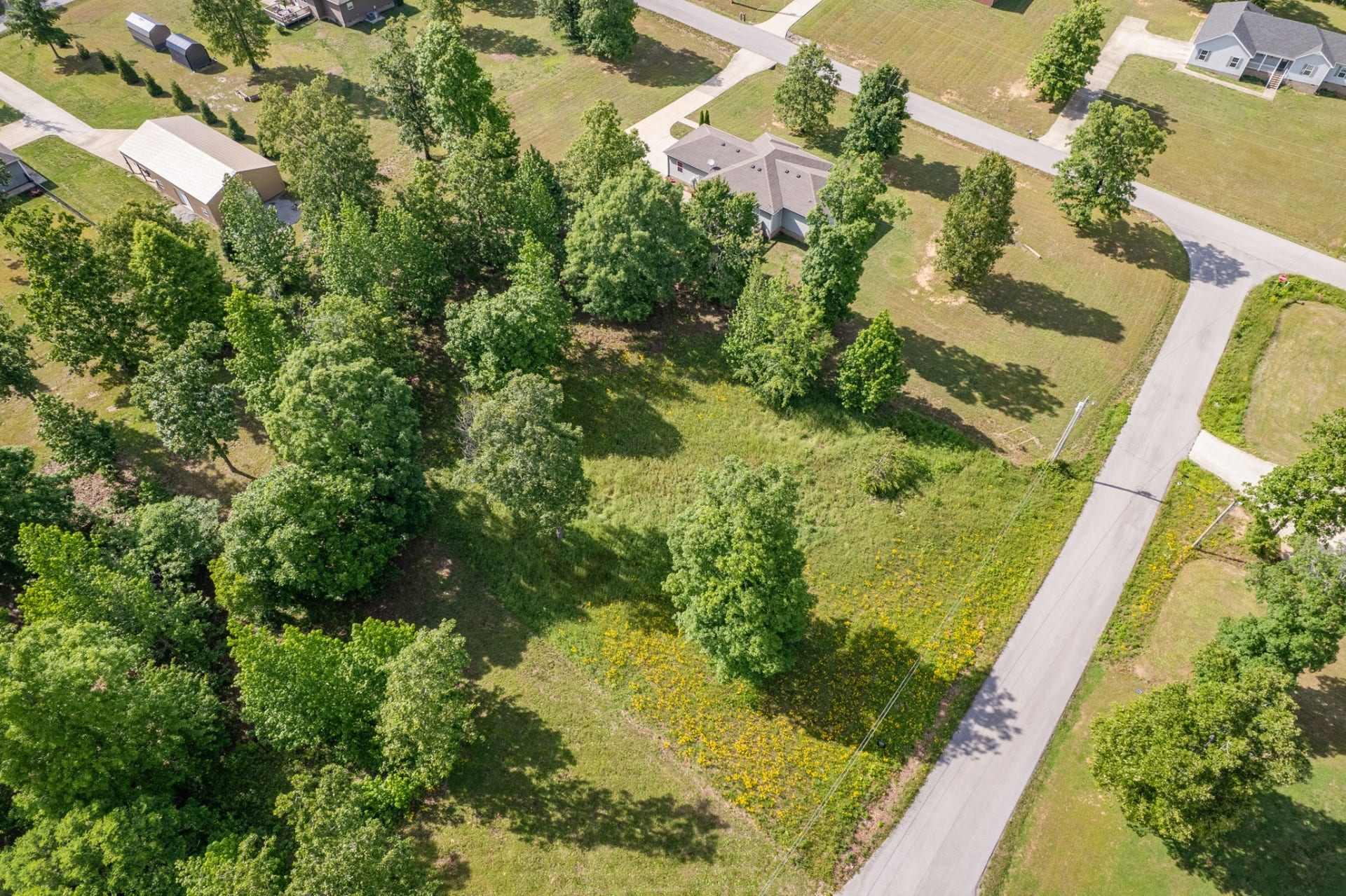 0 Wyshema Court, Mount Pleasant, TN 38474 0 Wyshema Court, Mount Pleasant, TN 38474