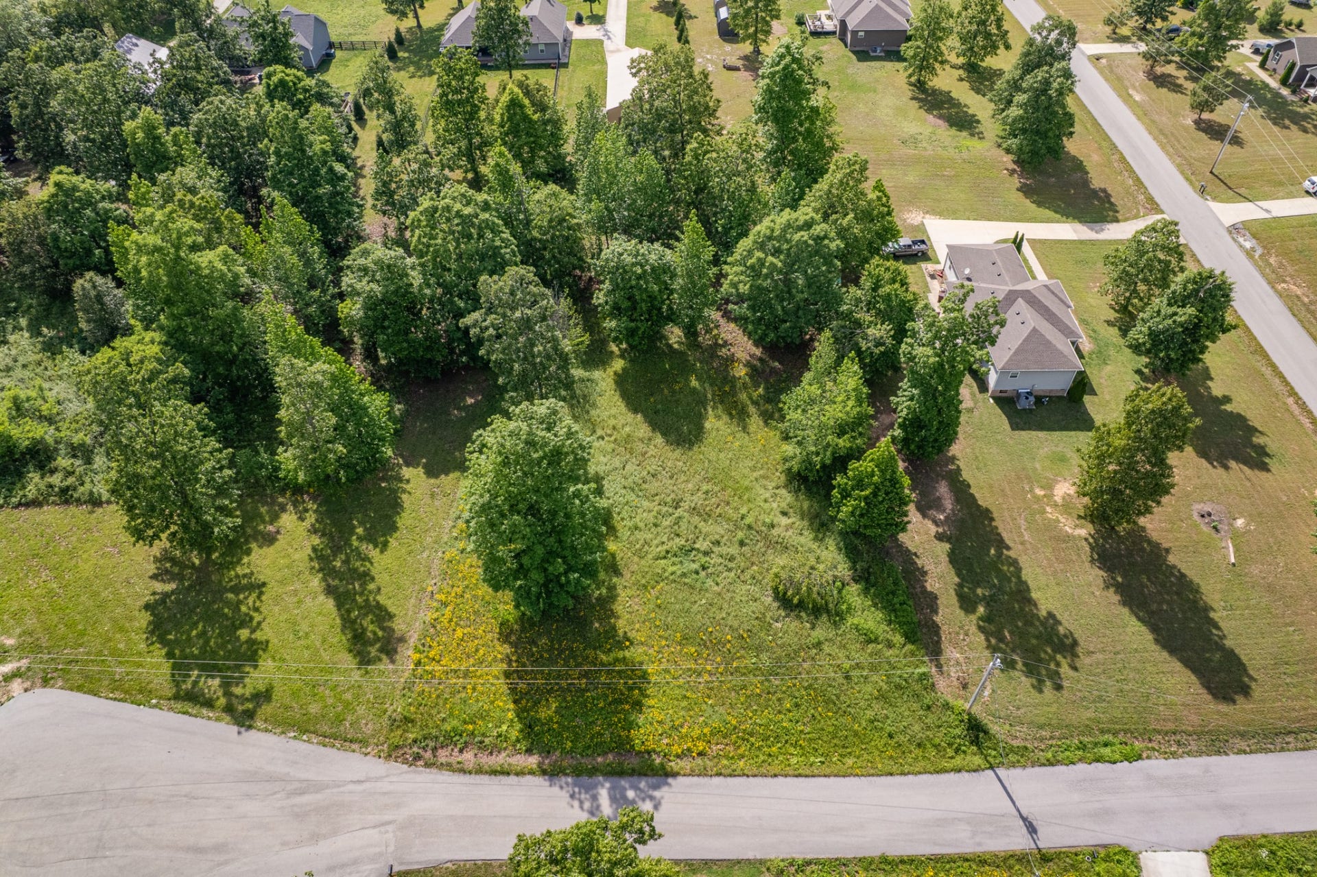 0 Wyshema Court, Mount Pleasant, TN 38474 0 Wyshema Court, Mount Pleasant, TN 38474