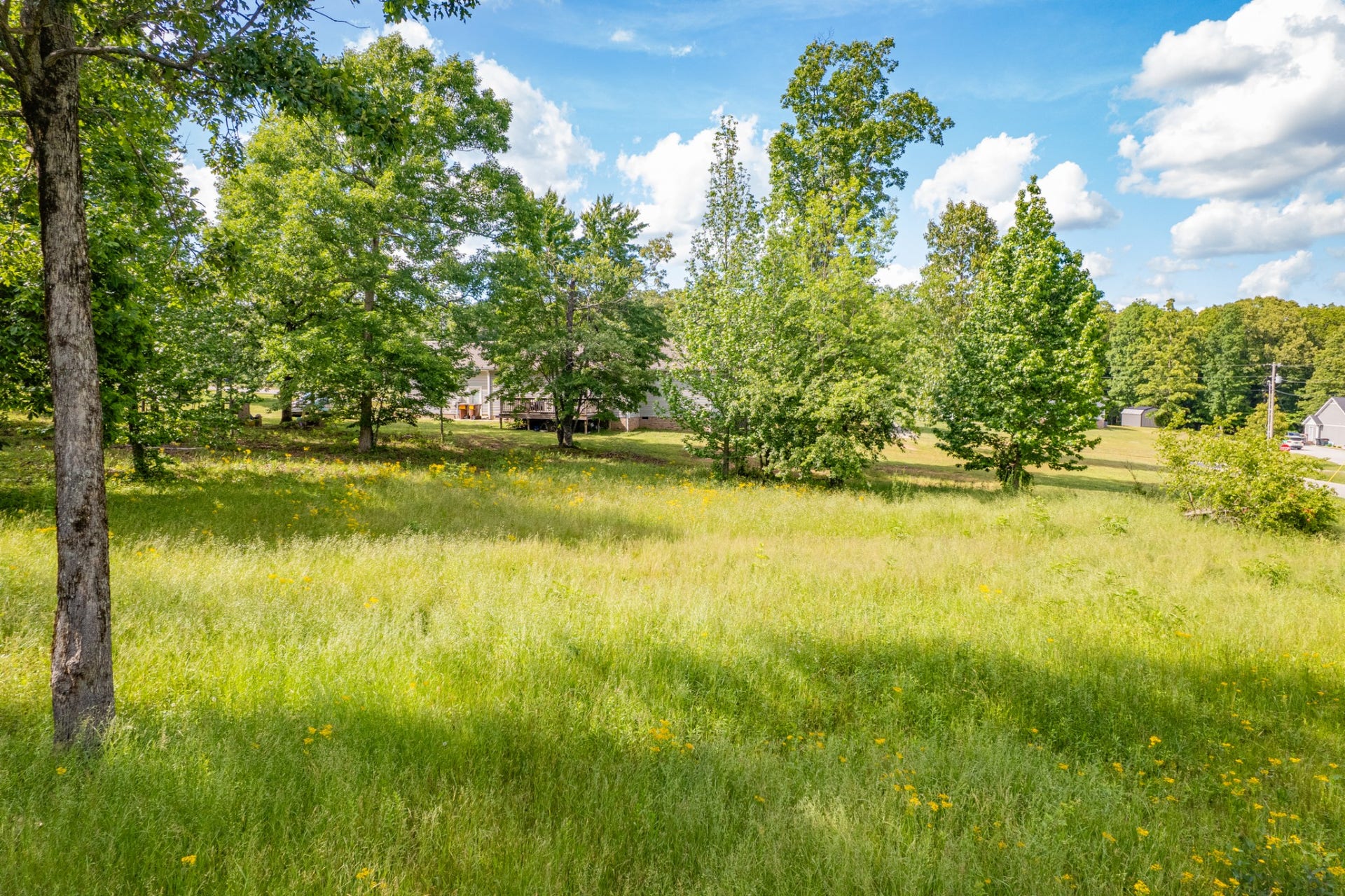 0 Wyshema Court, Mount Pleasant, TN 38474 0 Wyshema Court, Mount Pleasant, TN 38474