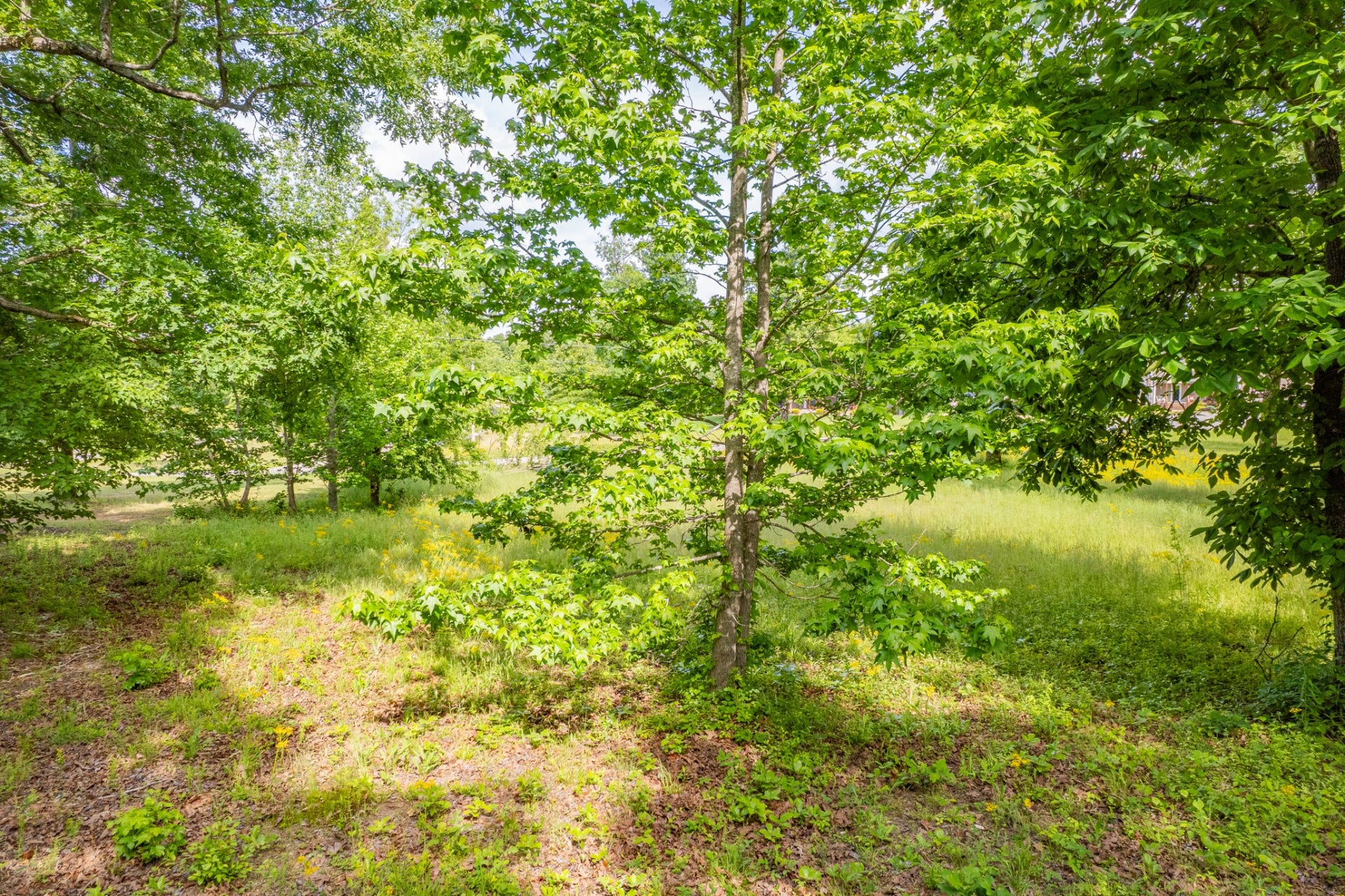 0 Wyshema Court, Mount Pleasant, TN 38474 0 Wyshema Court, Mount Pleasant, TN 38474