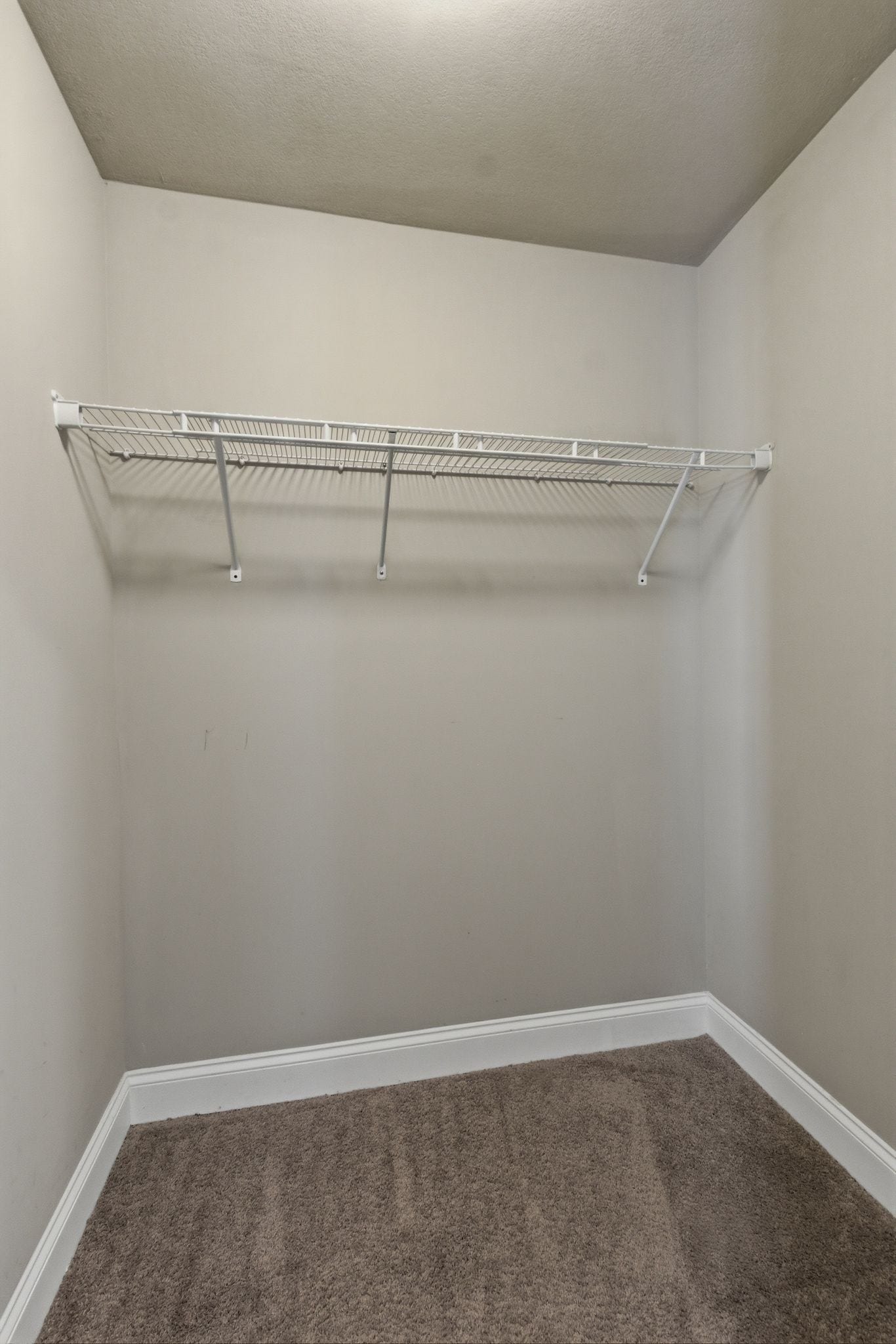 1749 Auburn Ln, Columbia, TN 38401 1749 Auburn Ln, Columbia, TN 38401