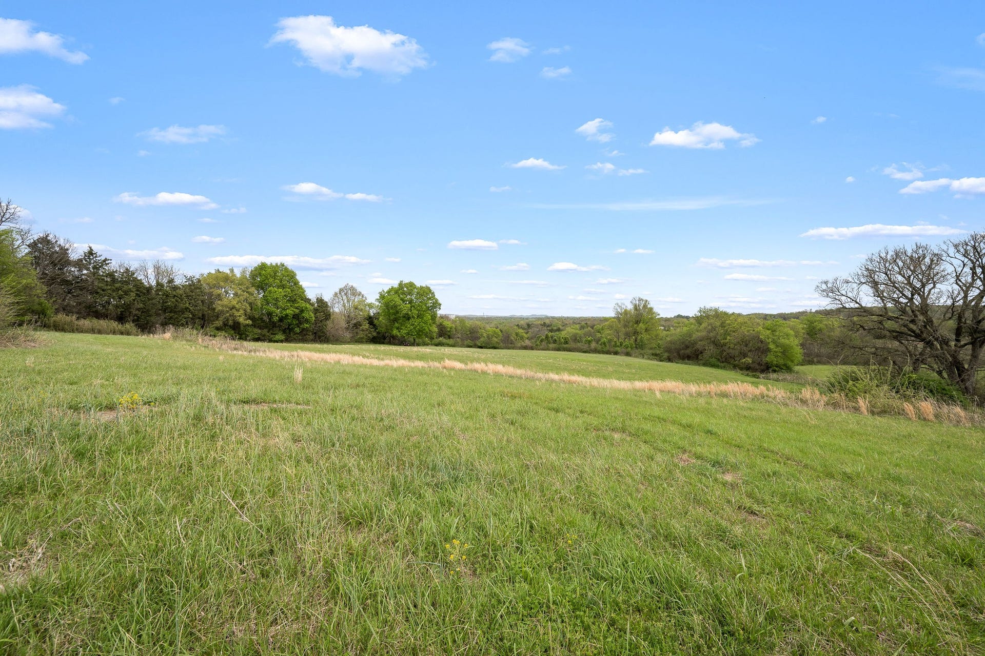 1146 Highway 64 W, Shelbyville, TN 37160 1146 Highway 64 W, Shelbyville, TN 37160