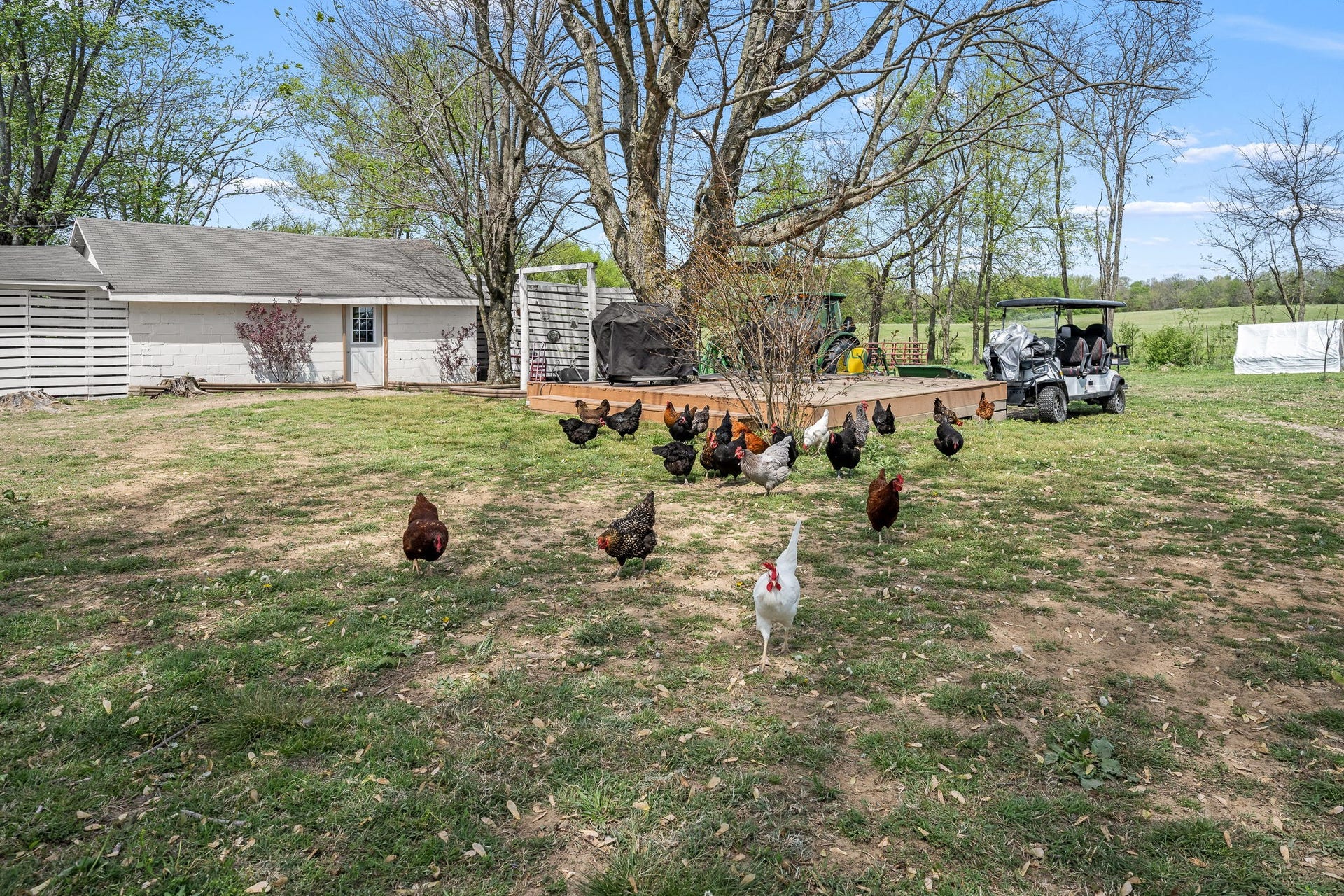 1146 Highway 64 W, Shelbyville, TN 37160 1146 Highway 64 W, Shelbyville, TN 37160