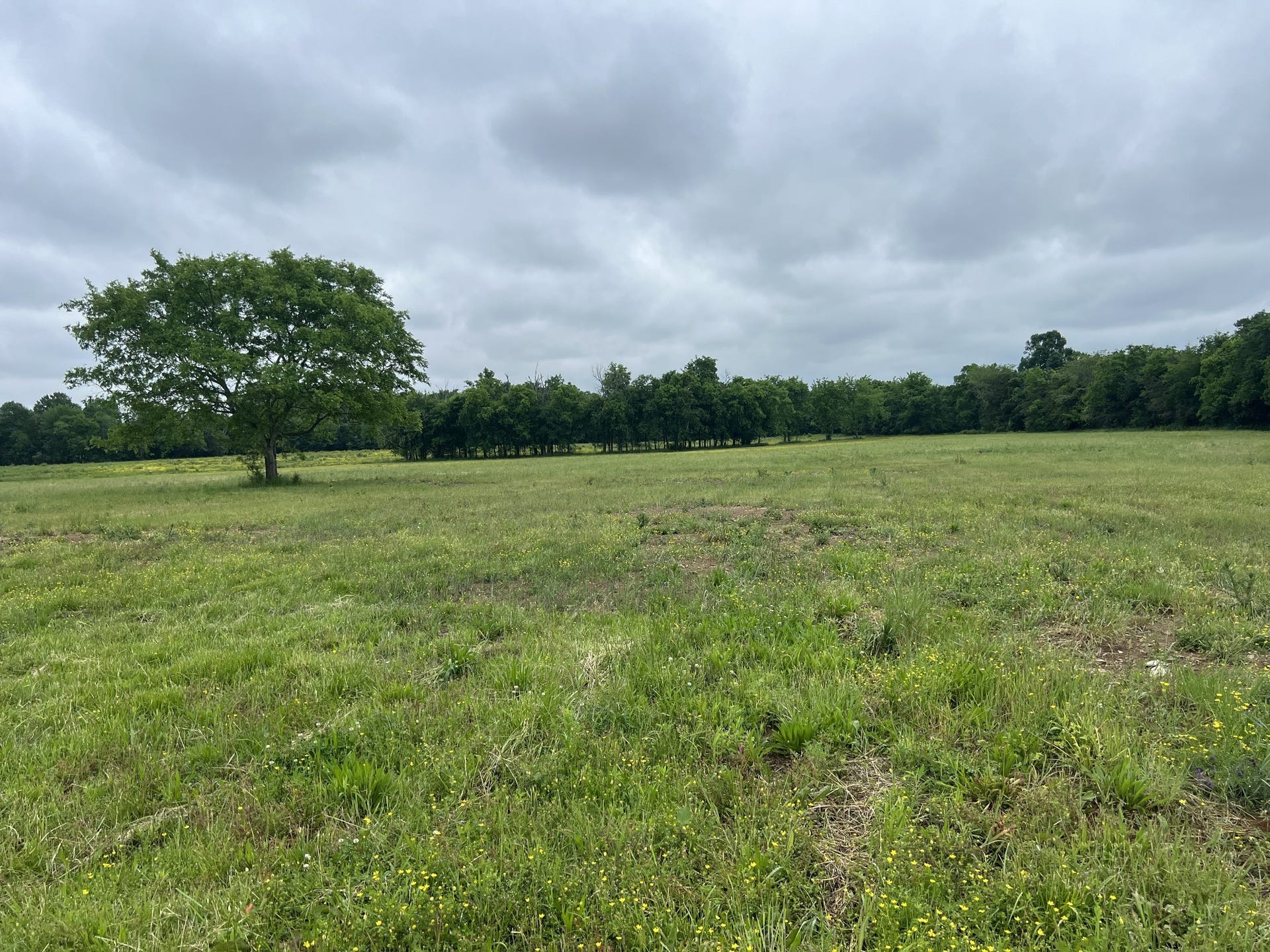 2230 Unionville Deason Rd, Bell Buckle, TN 37020 2230 Unionville Deason Rd, Bell Buckle, TN 37020