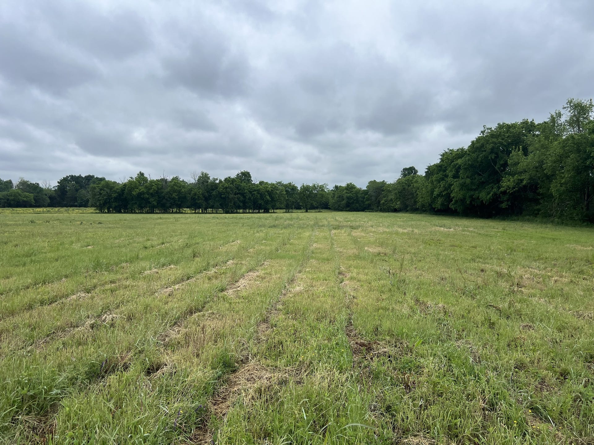 2230 Unionville Deason Rd, Bell Buckle, TN 37020 2230 Unionville Deason Rd, Bell Buckle, TN 37020