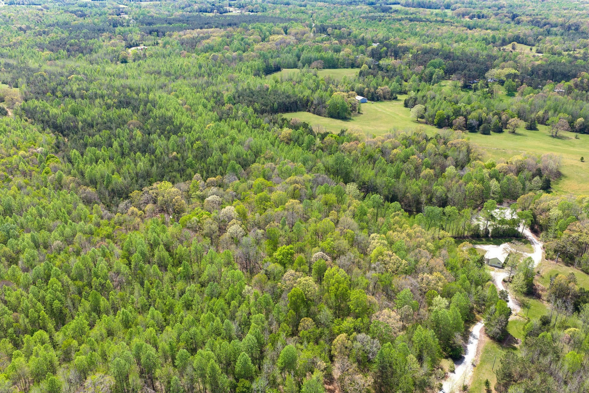 0 KELLEY LANE, Scotts Hill, TN 38374