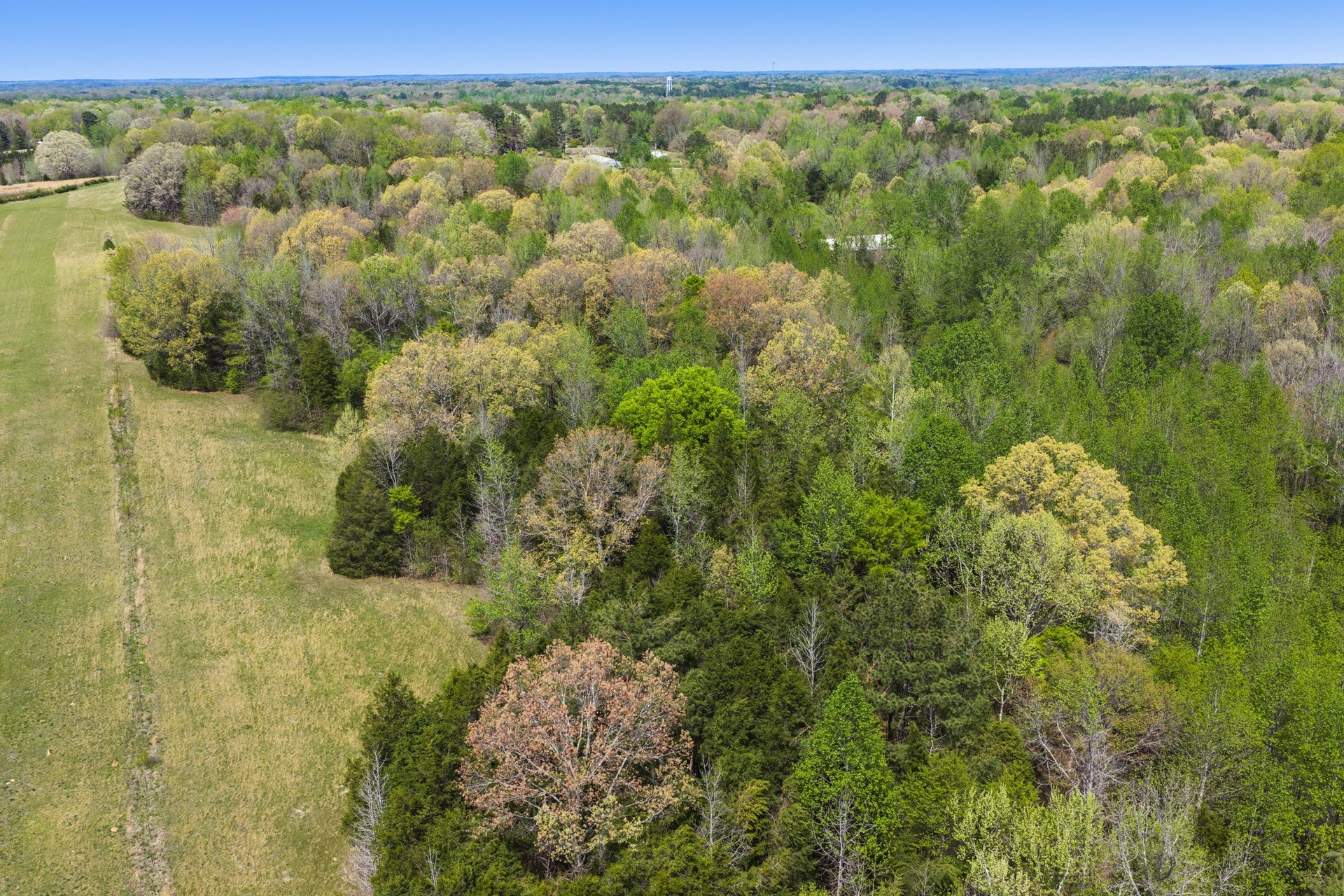 0 KELLEY LANE, Scotts Hill, TN 38374