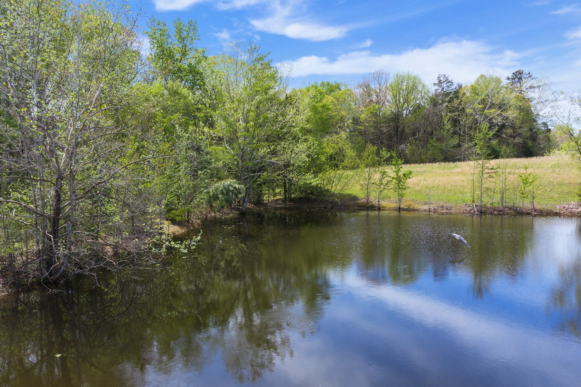0 KELLEY LANE, Scotts Hill, TN 38374