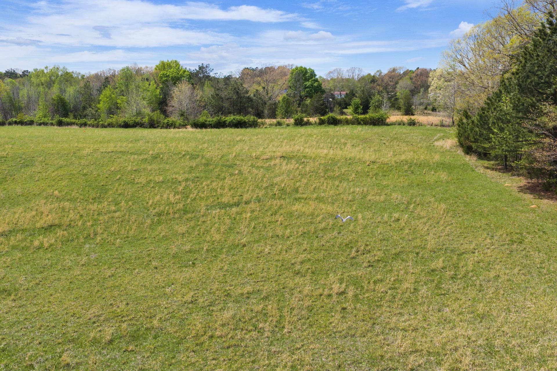 0 KELLEY LANE, Scotts Hill, TN 38374