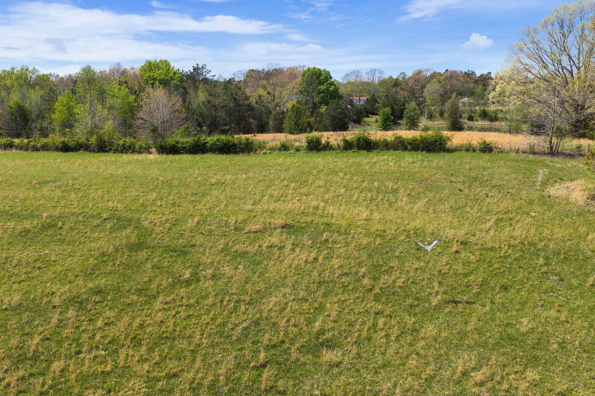 0 KELLEY LANE, Scotts Hill, TN 38374