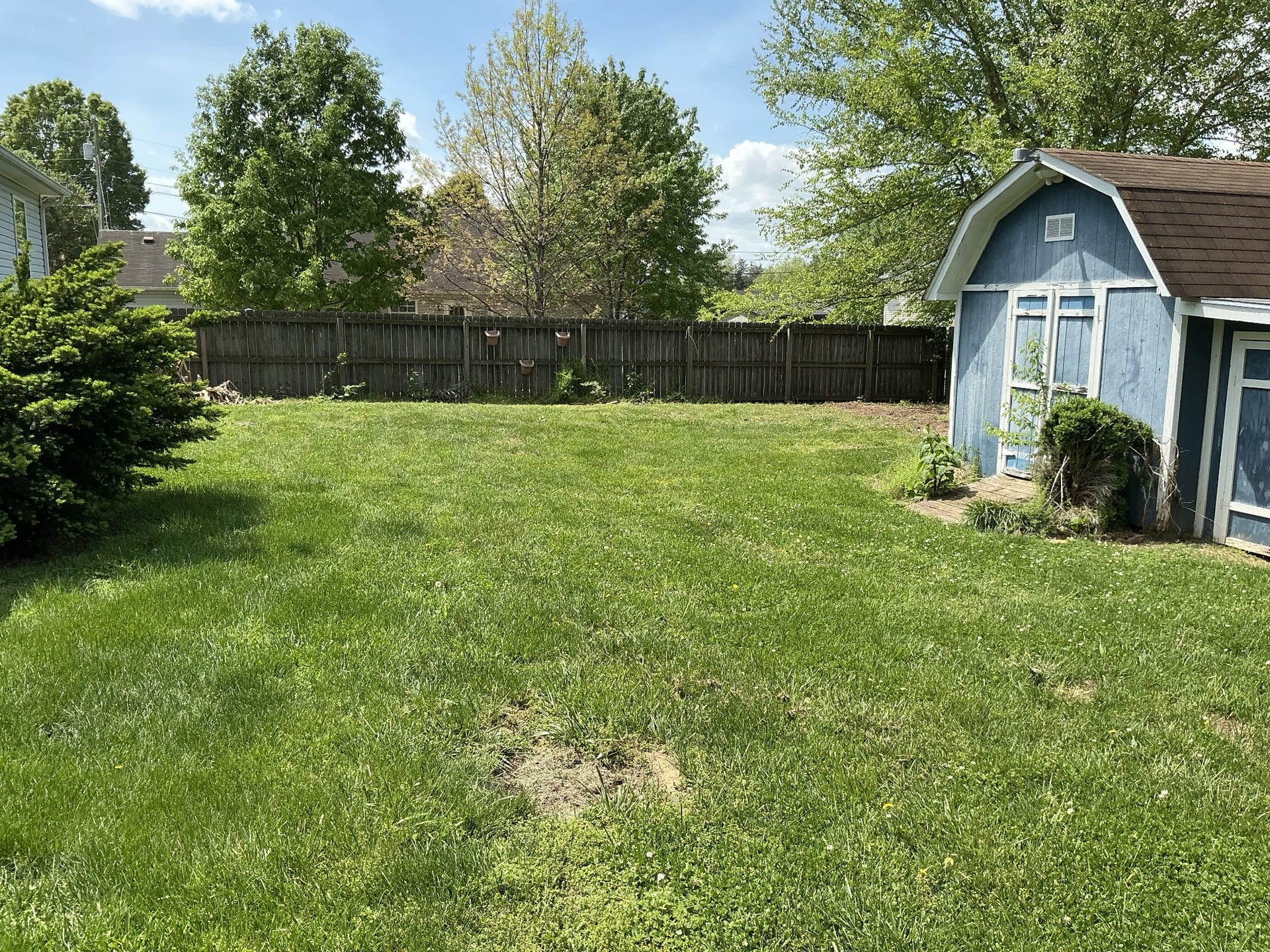1706 Brittany Ct, Columbia, TN 38401 Back Yard