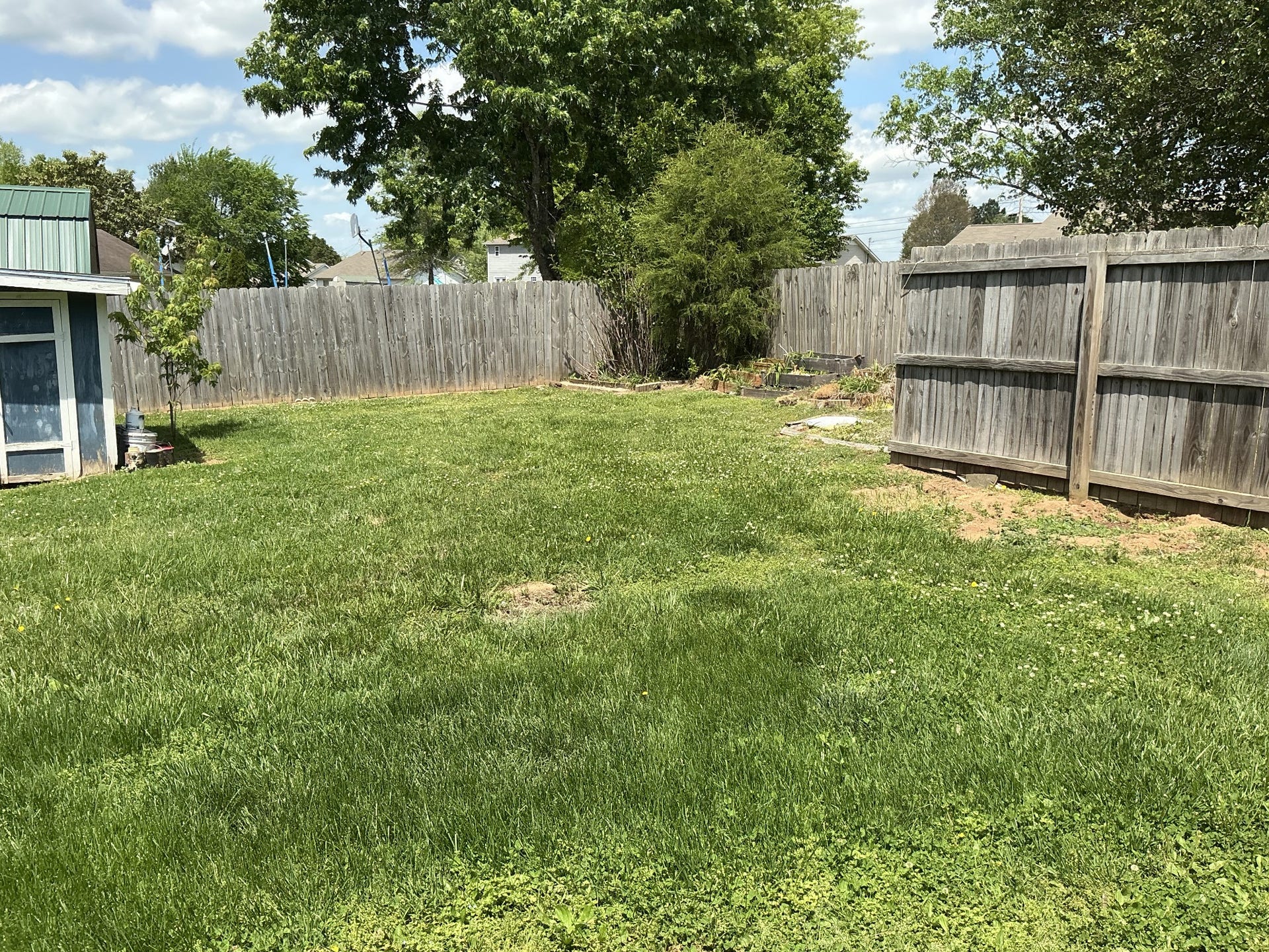 1706 Brittany Ct, Columbia, TN 38401 Back Yard