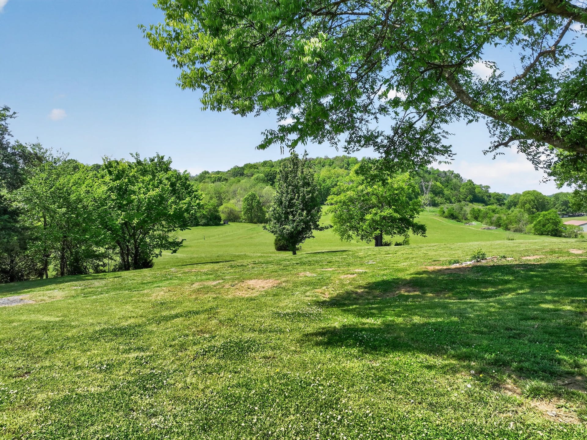 1641 Long Branch Ln, Mount Pleasant, TN 38474