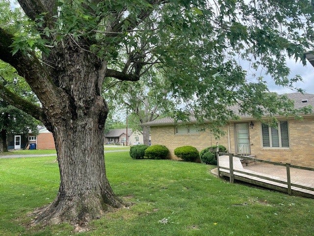 206 Fairlane Dr, Shelbyville, TN 37160 206 Fairlane Dr, Shelbyville, TN 37160