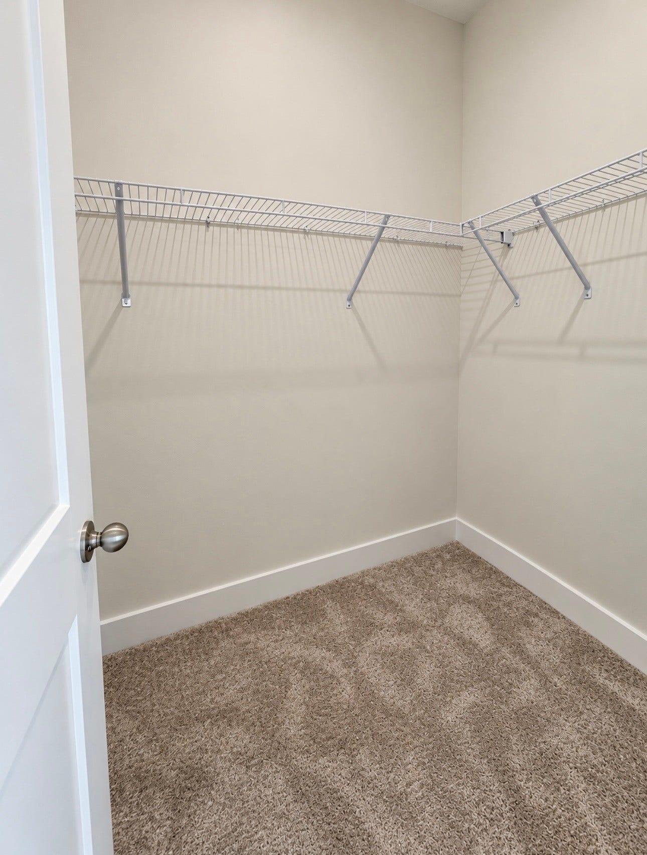 2905 Biloxi Ct, Murfreesboro, TN 37129 Guest Suite downstairs walk-in closet
