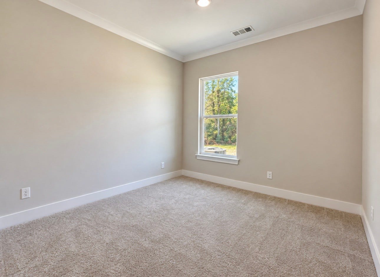 2905 Biloxi Ct, Murfreesboro, TN 37129 Guest Suite down stairs