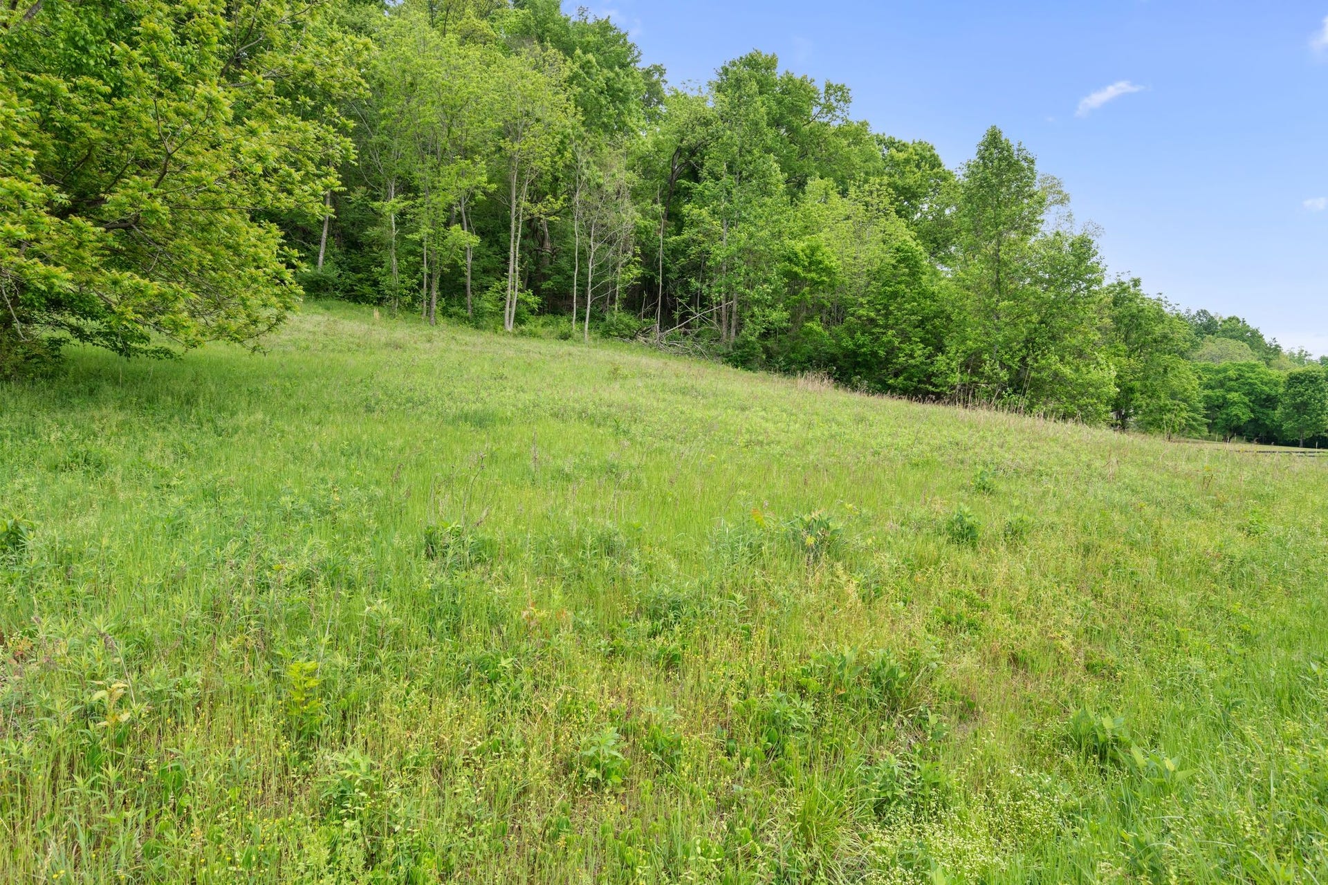 0 Leipers Creek Rd, Columbia, TN 38401 0 Leipers Creek Rd, Columbia, TN 38401
