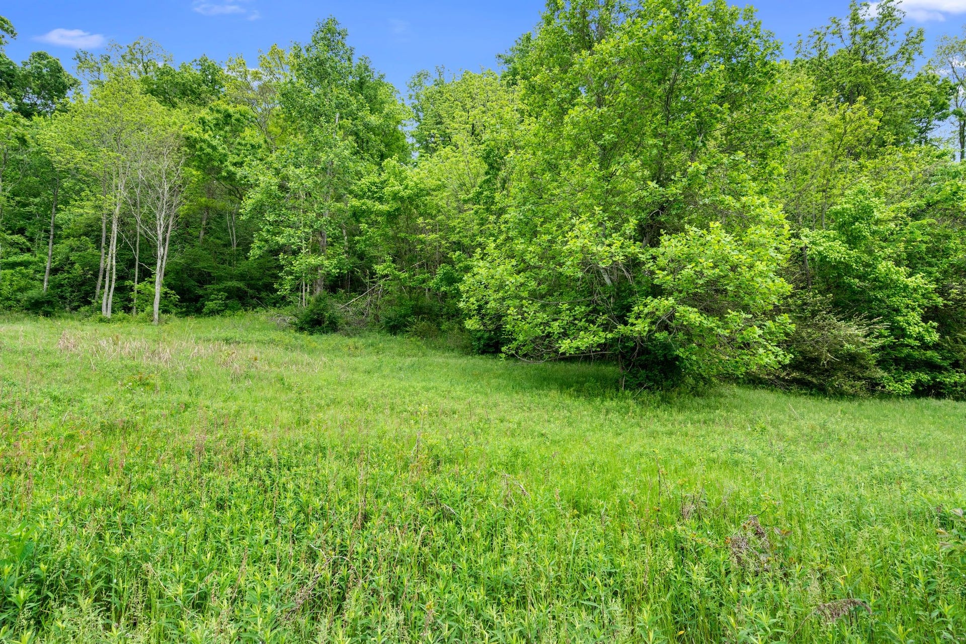 0 Leipers Creek Rd, Columbia, TN 38401 0 Leipers Creek Rd, Columbia, TN 38401