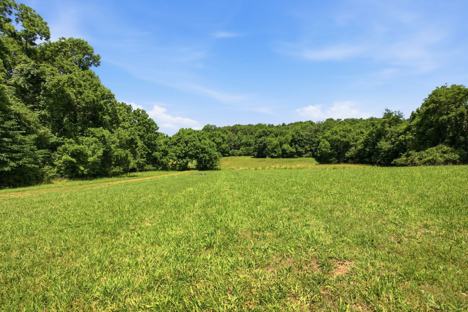 2127 Highway 166 N, Mount Pleasant, TN 38474 2127 Highway 166 N, Mount Pleasant, TN 38474