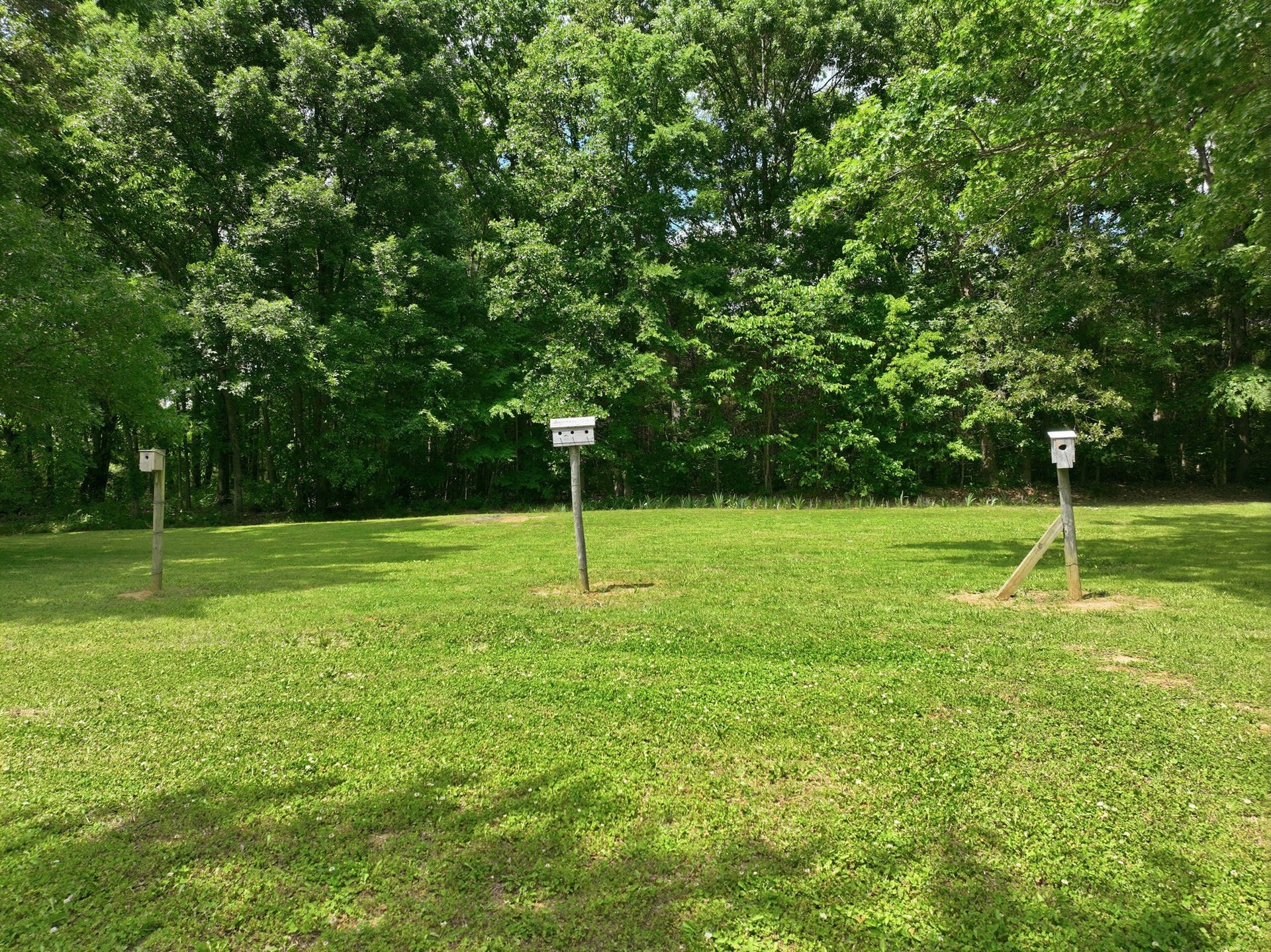 3041 Unionville Deason Rd, Bell Buckle, TN 37020 3041 Unionville Deason Rd, Bell Buckle, TN 37020