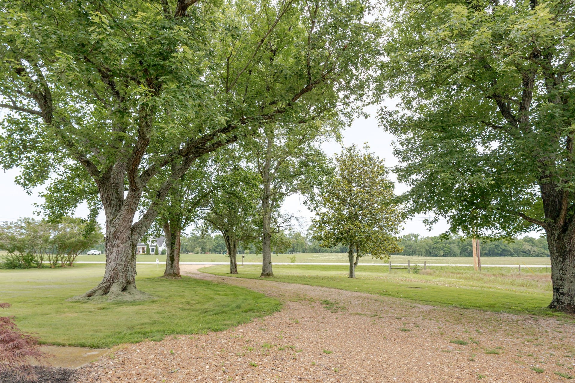 540 Snell Rd, Shelbyville, TN 37160