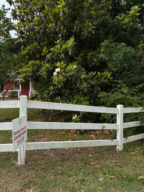 Look at that Magnolia !! You won't get that with new construction.