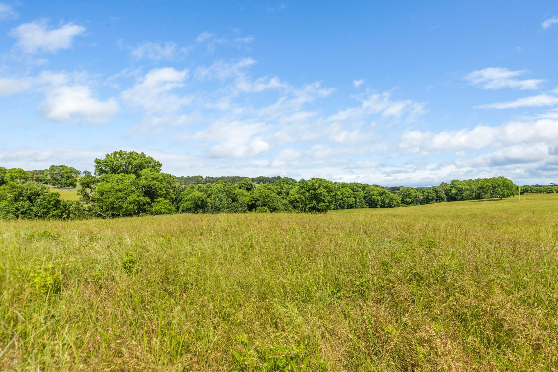 0 Darks Mill Road, Columbia, TN 38401 0 Darks Mill Road, Columbia, TN 38401