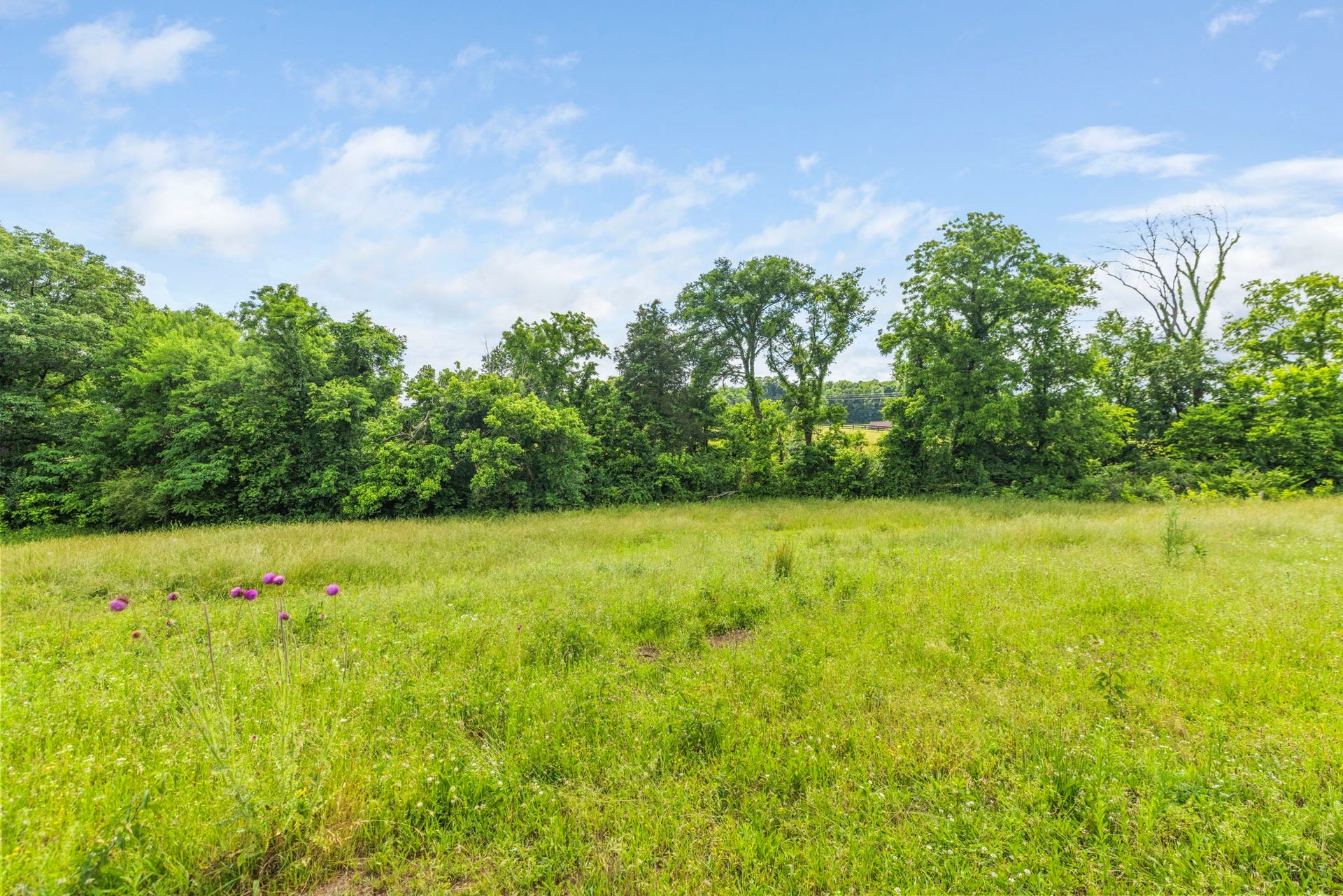 0 Darks Mill Road, Columbia, TN 38401 0 Darks Mill Road, Columbia, TN 38401