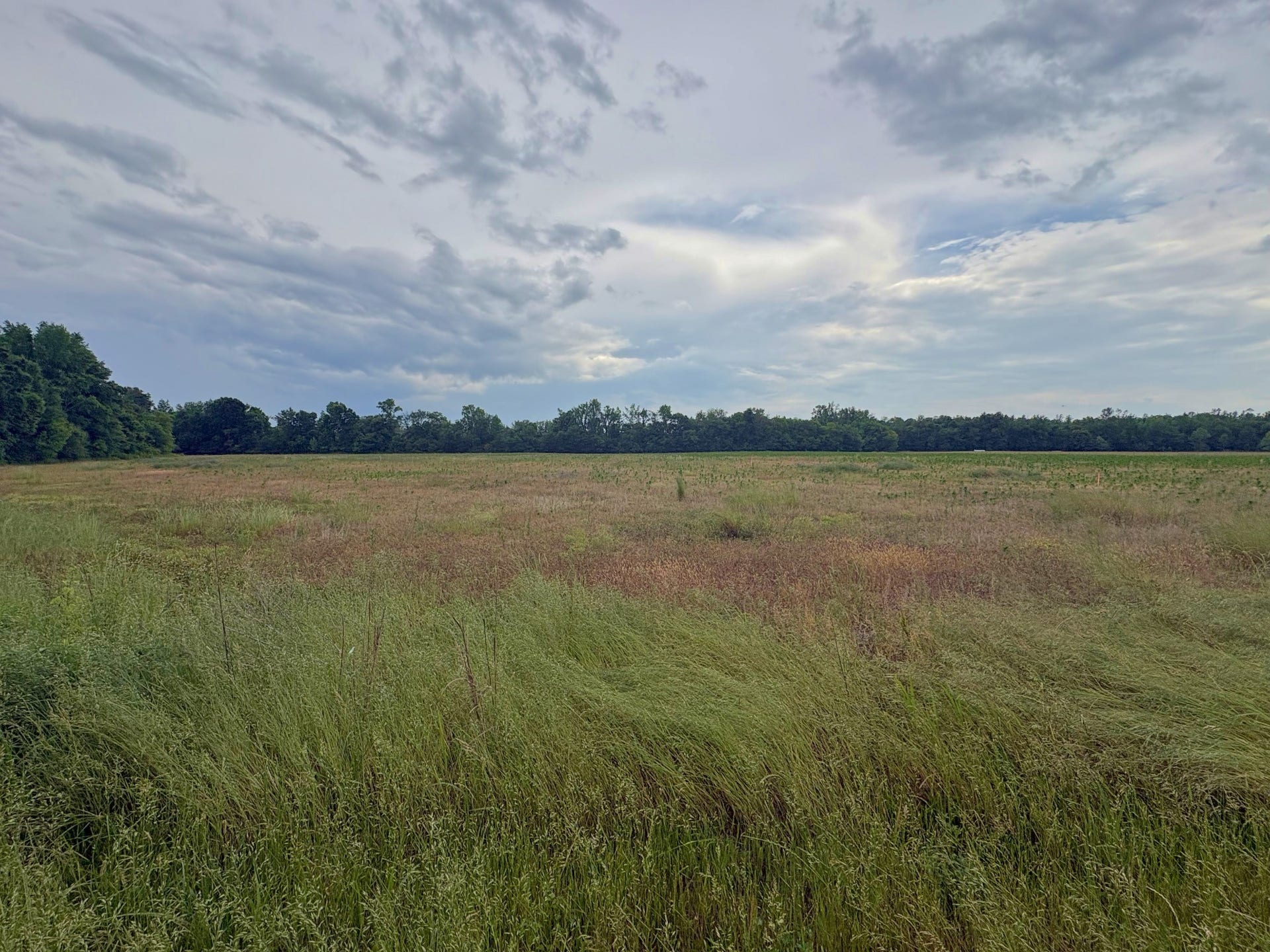 0 Duncan Rd, Manchester, TN 37355 0 Duncan Rd, Manchester, TN 37355