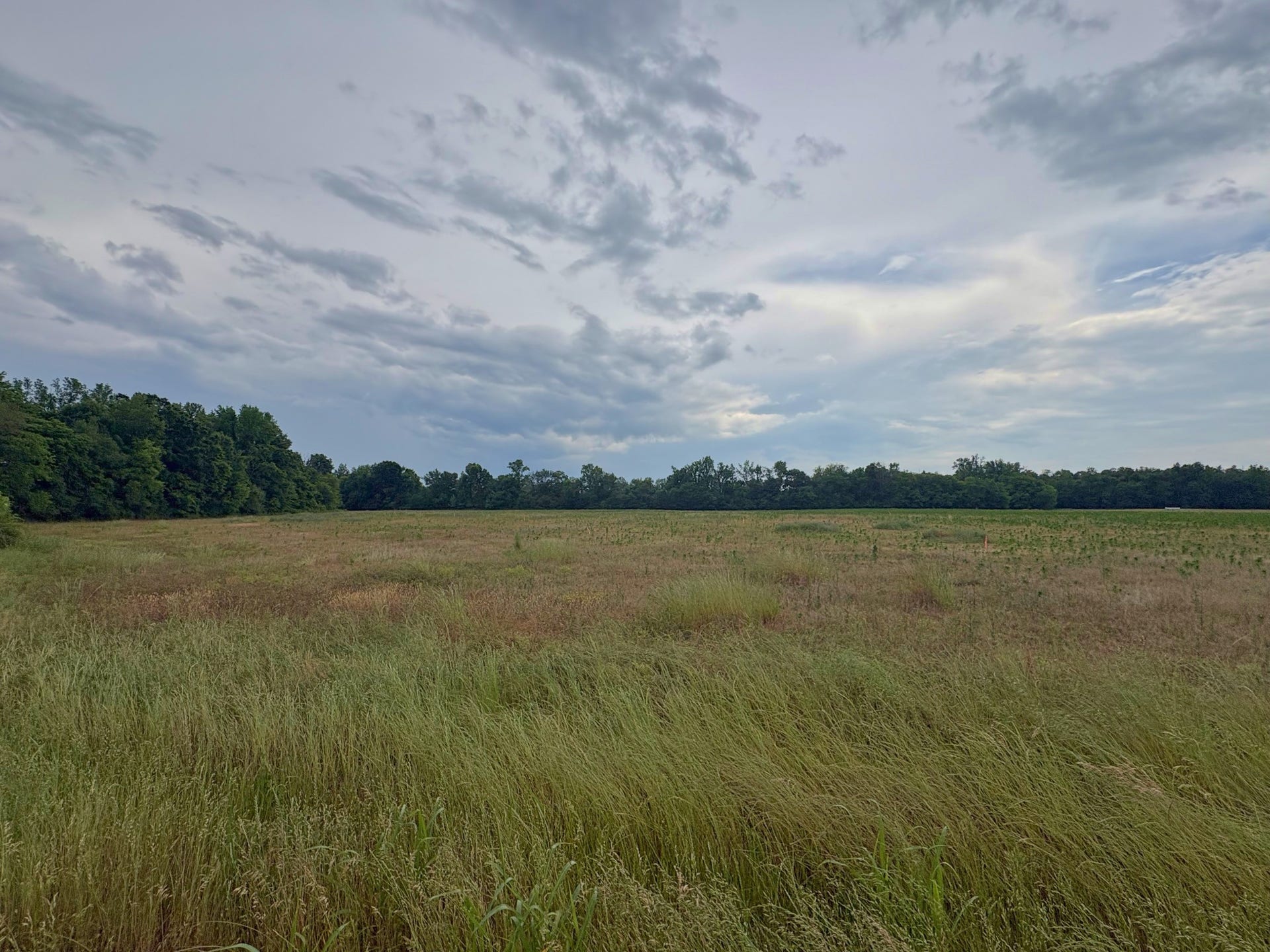 0 Duncan Rd, Manchester, TN 37355 0 Duncan Rd, Manchester, TN 37355