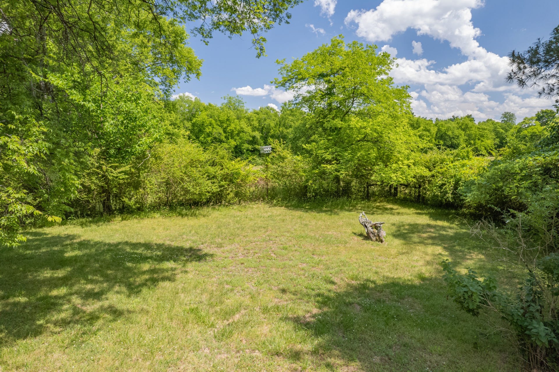 2204 Sowell Mill Pike, Columbia, TN 38401 2204 Sowell Mill Pike, Columbia, TN 38401