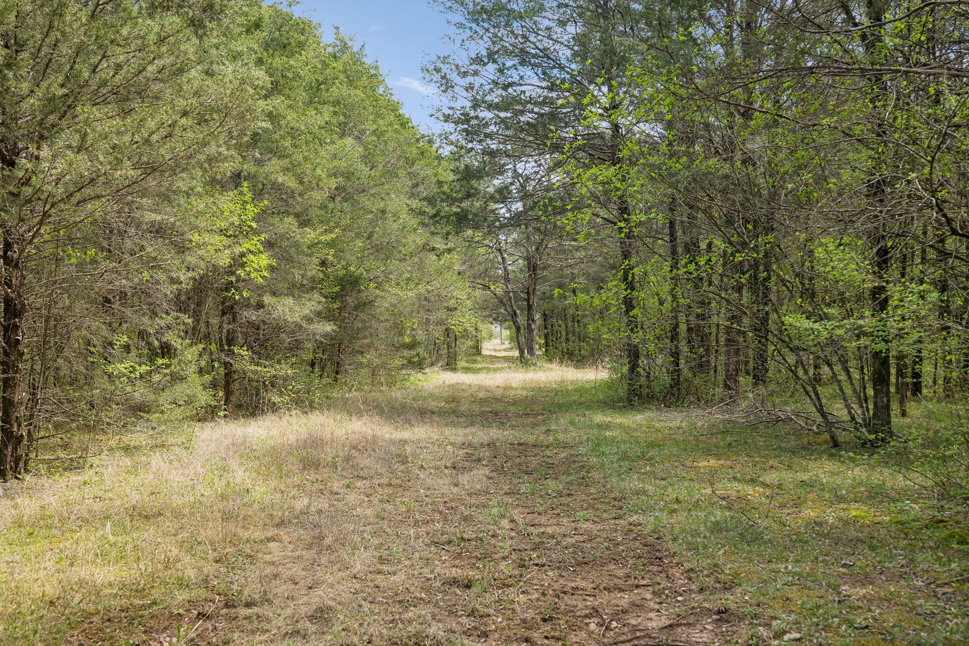 160 Osteen Ln, Chapel Hill, TN 37034 160 Osteen Ln, Chapel Hill, TN 37034